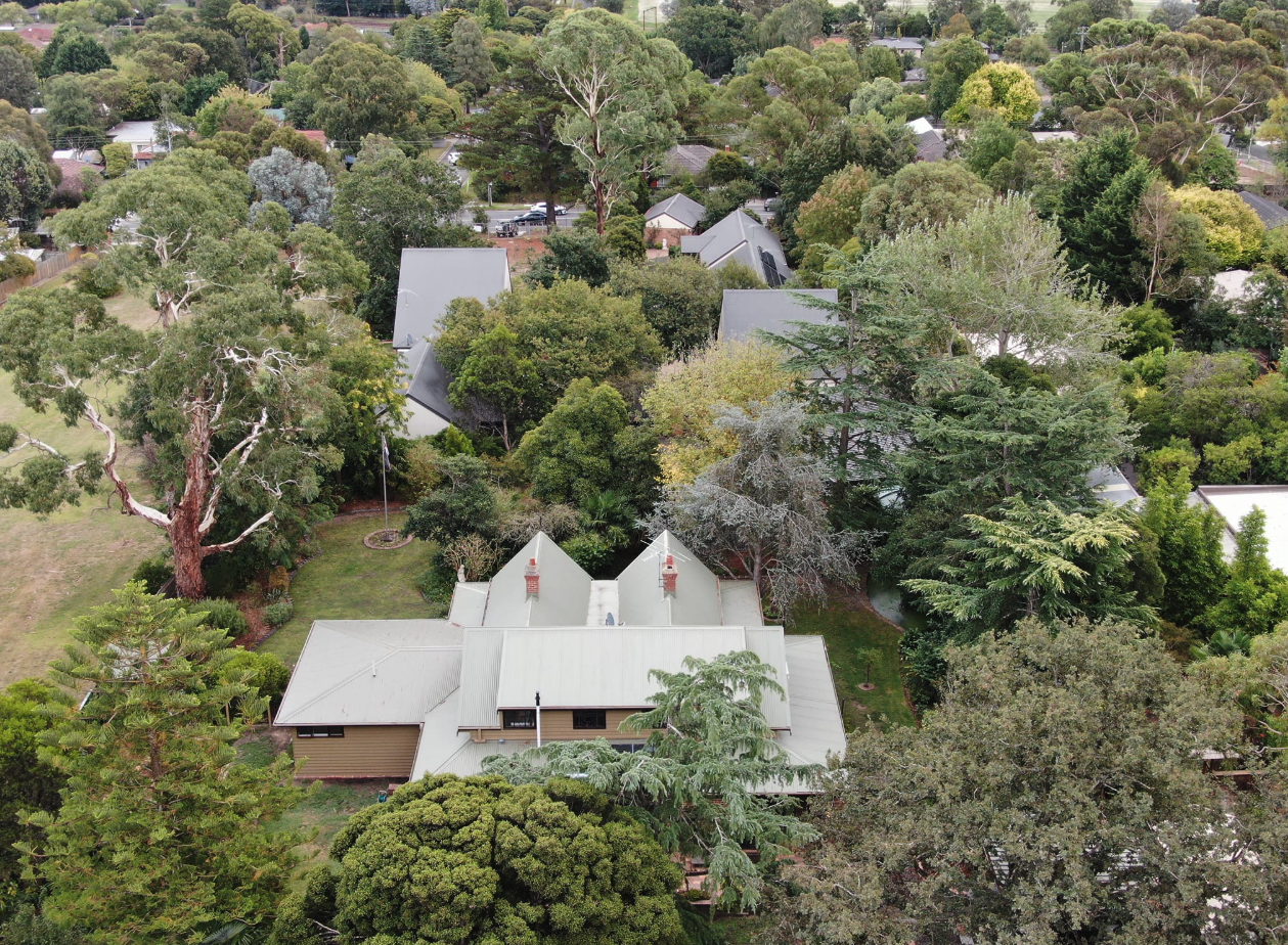 Screen Shot 2024 12 05 at 12 01 12 pm