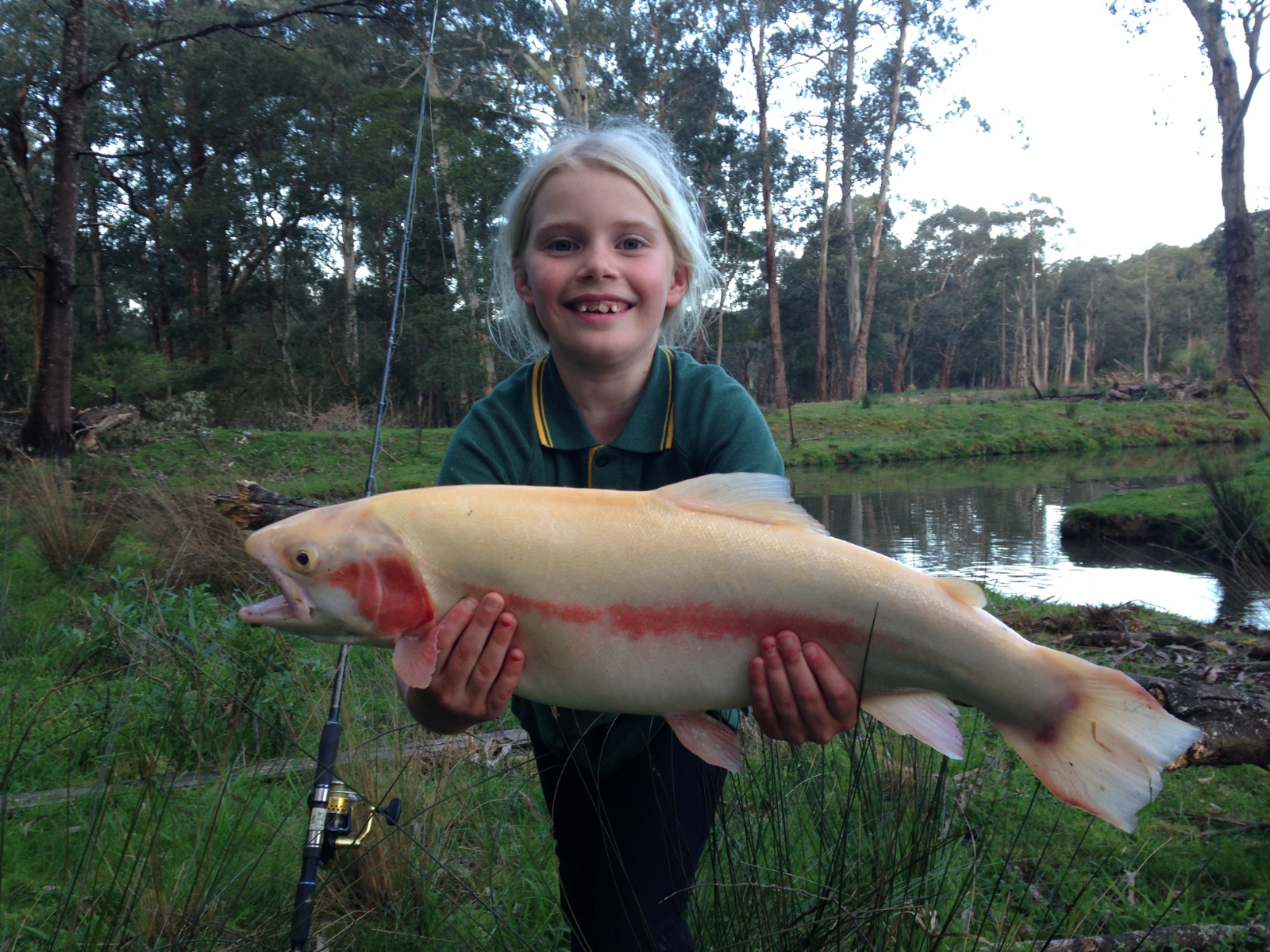 Australian Rainbow Trout Farm Visit Yarra Valley & Dandenong Ranges