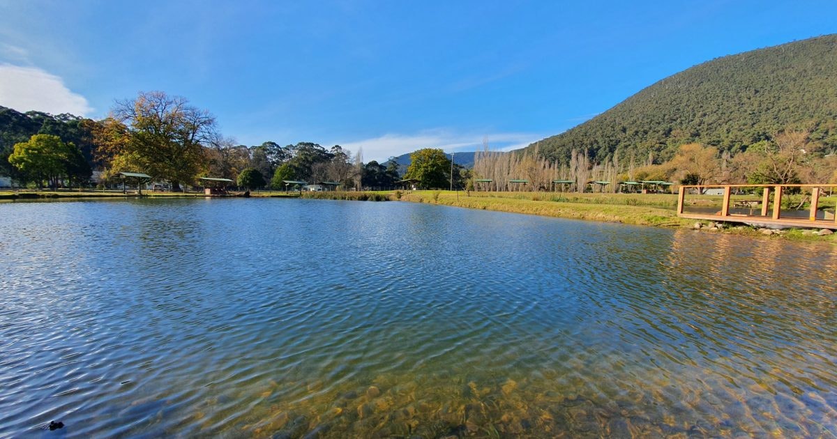 Tommy Finns Trout Farm Visit Yarra Valley Dandenong Ranges Tommy Finns Trout Farm Visit Yarra Valley Dandenong Ranges