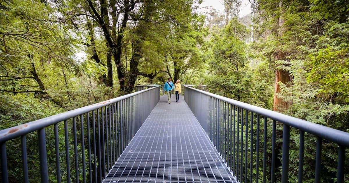 Warburton Rainforest Gallery Visit Yarra Valley & Dandenong Ranges