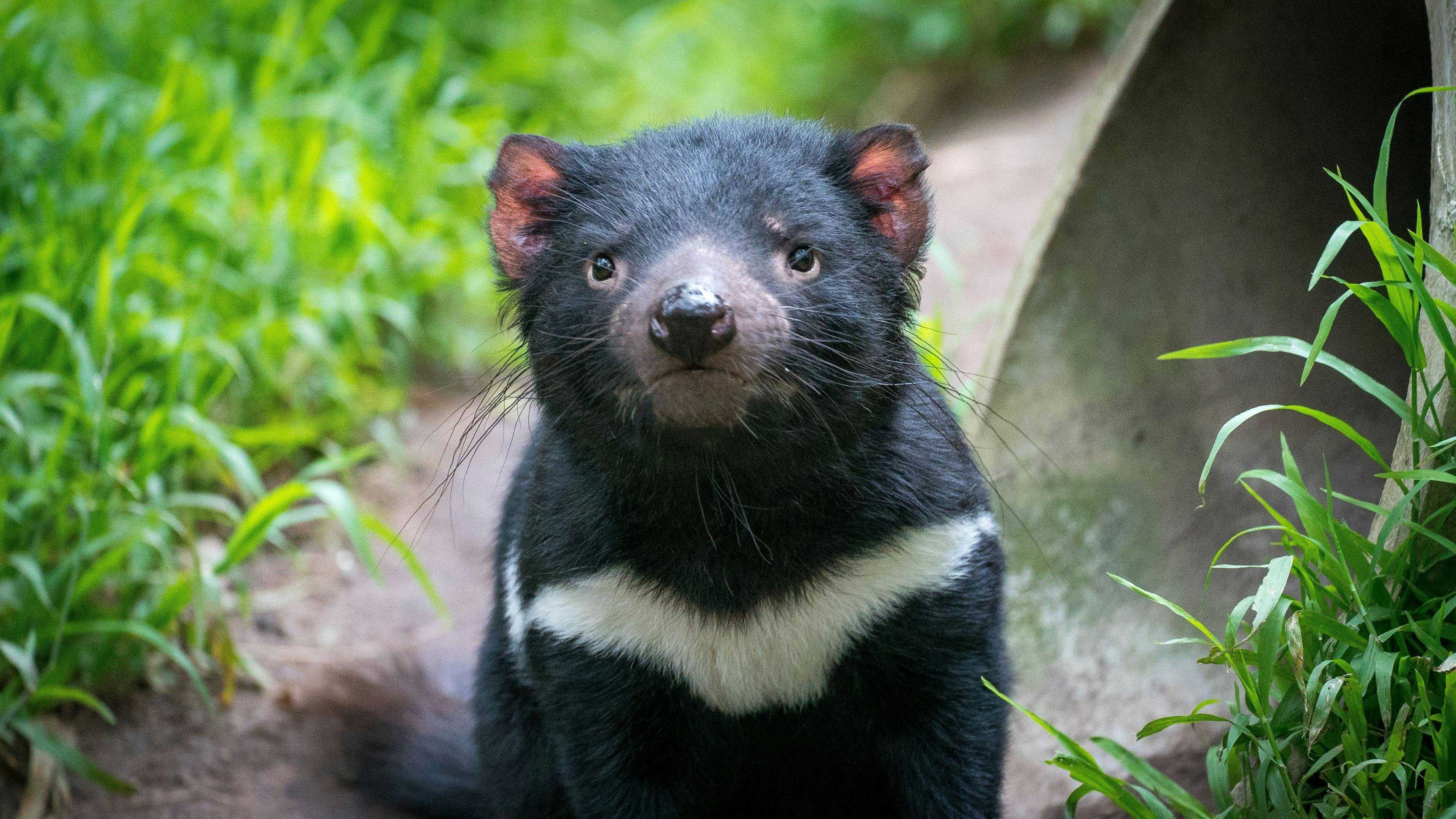 A0B3Decfb471753D34A7069356E7816D