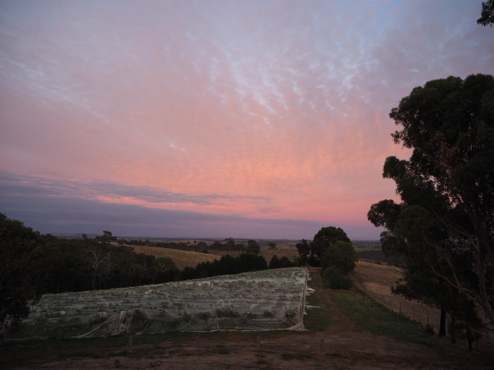 A1A85C8Cdfb3Fffd44D1Db1Ee927D068