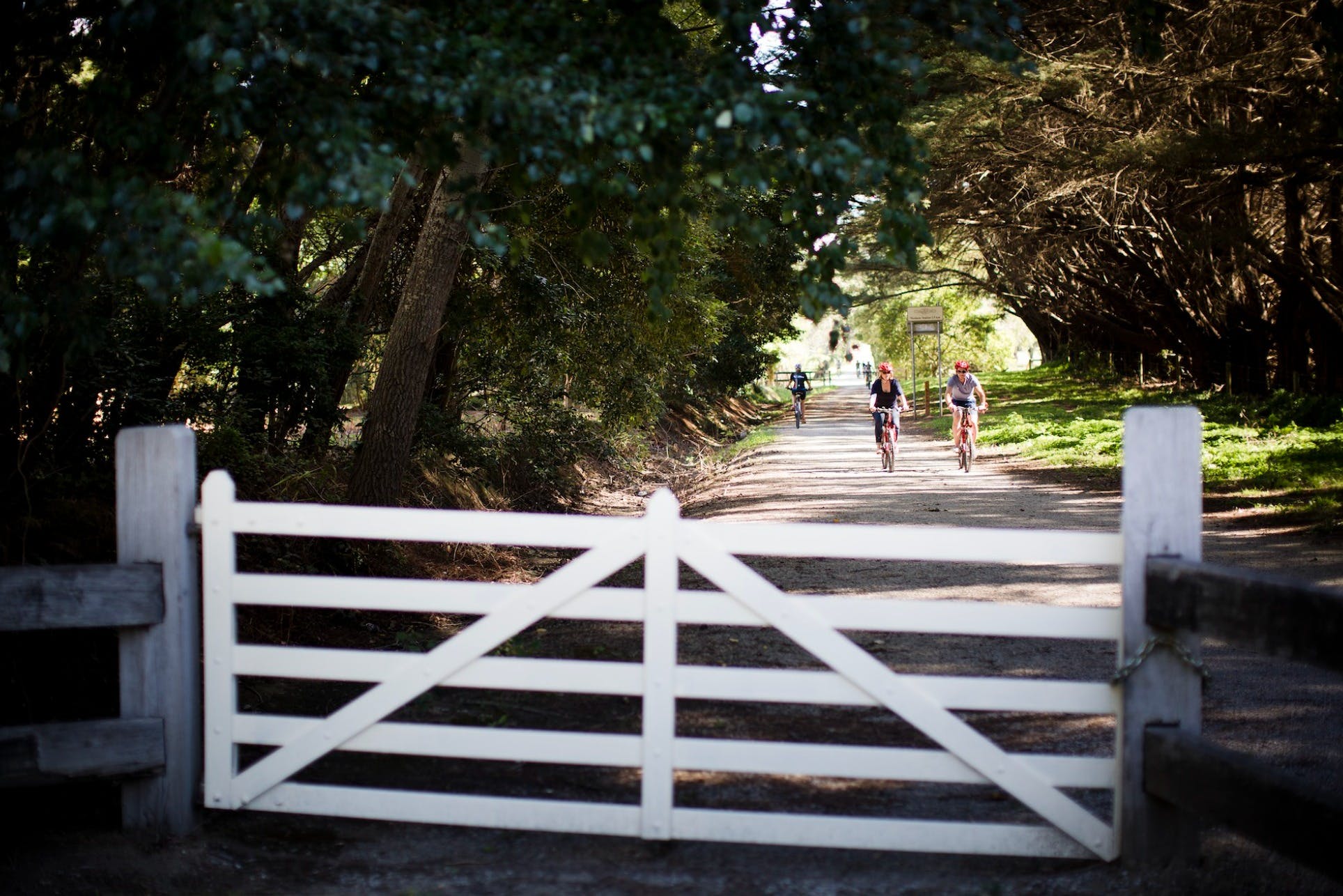 A1E5962Bd510Bd8F3Bb27A33B378Df20