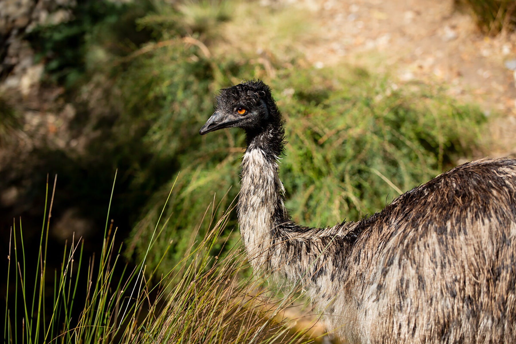 A4129074B7Fc3E44198F73Dccf835829