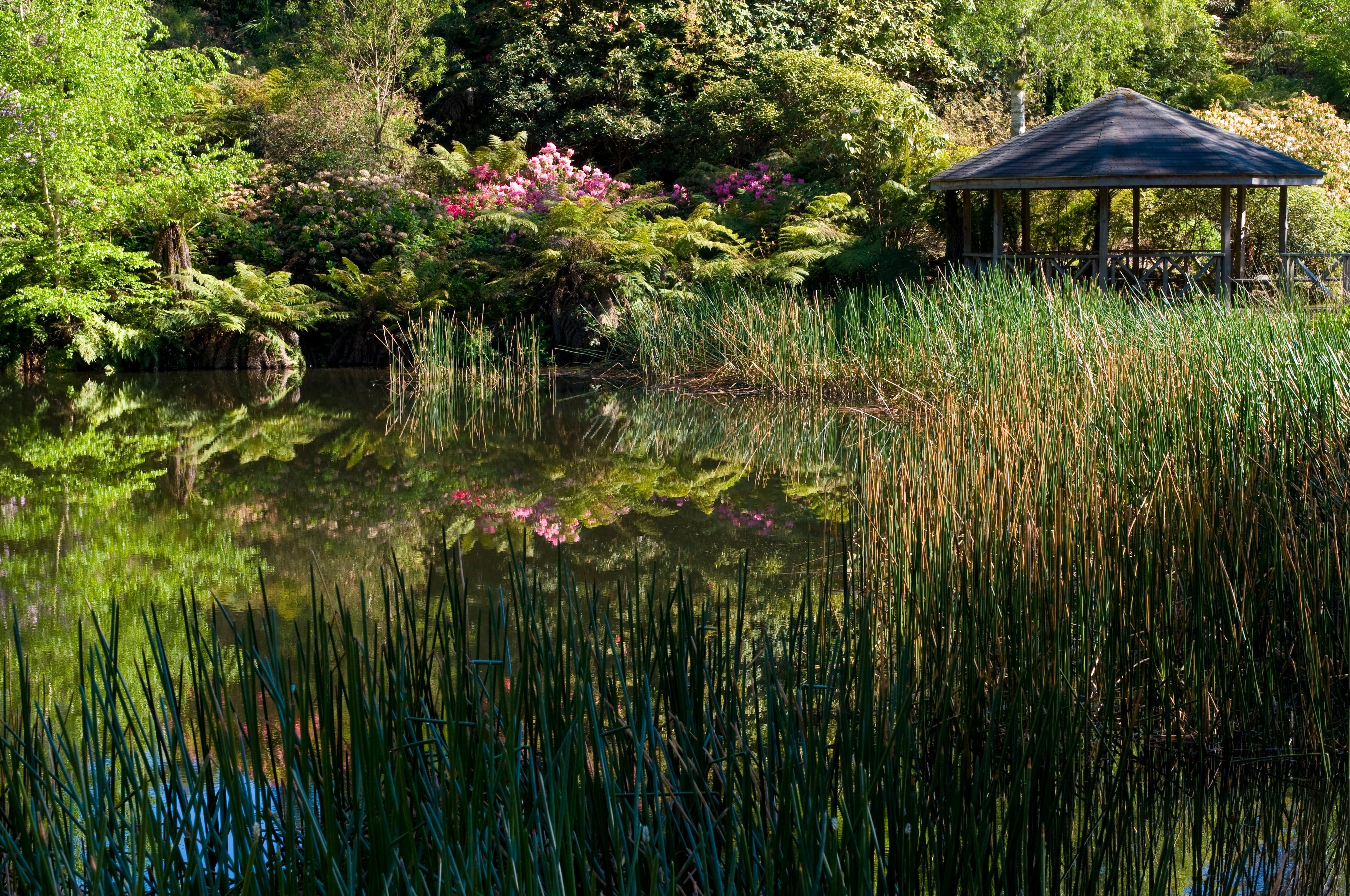 A497F3902Ee222Fb14495339A4047Dba