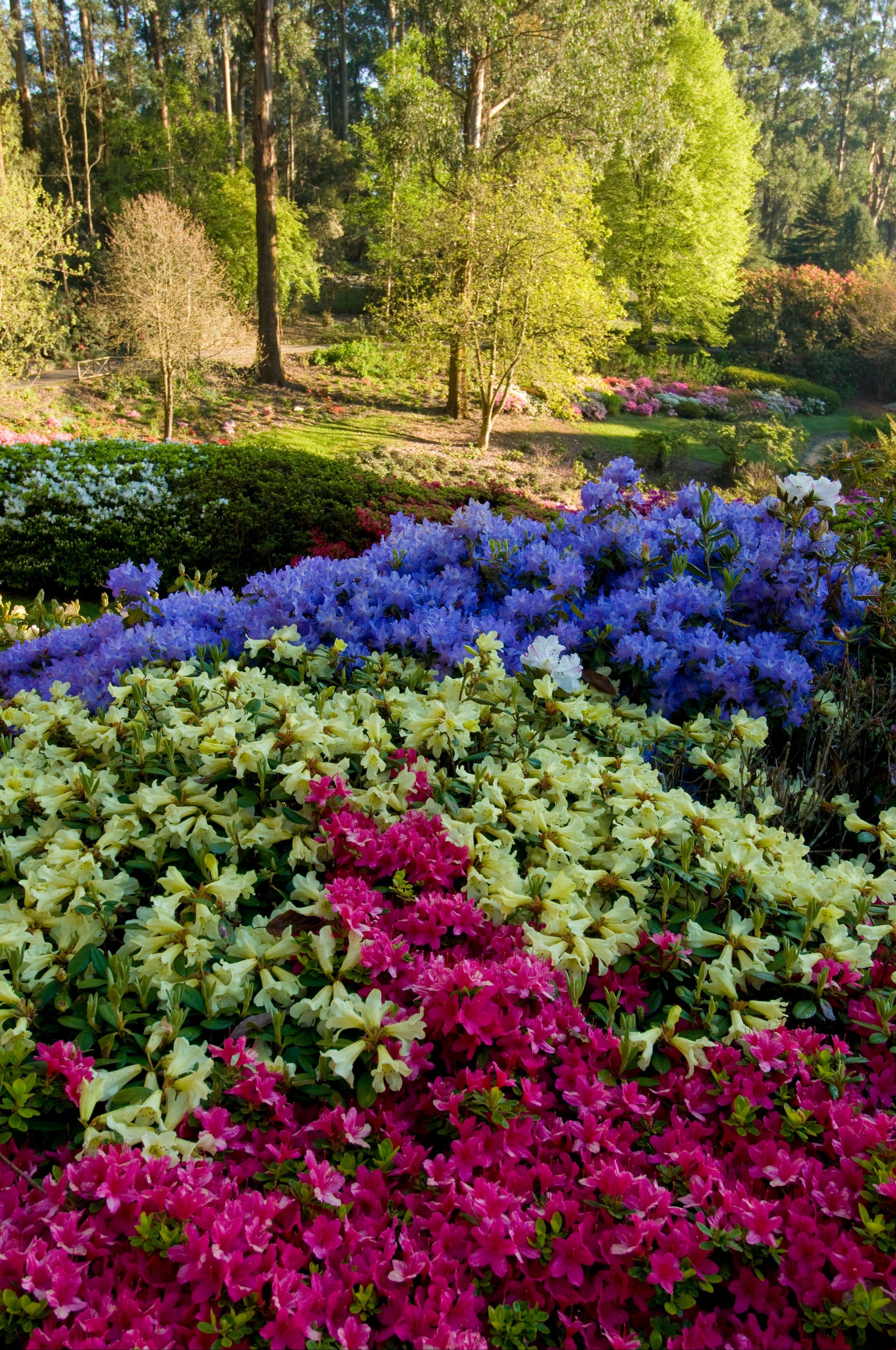 A4A6F919Bdf854Db9B68D9E300Cdbb47