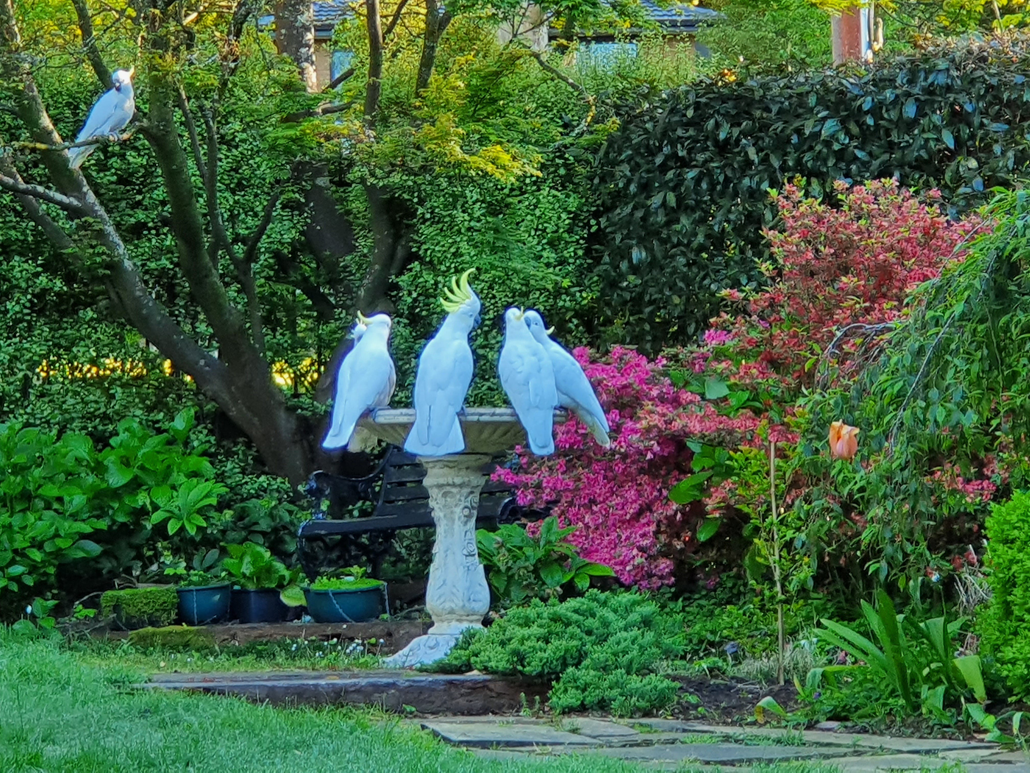 A4Ee047E3D6F5Aca69F5F5Bae36311D0