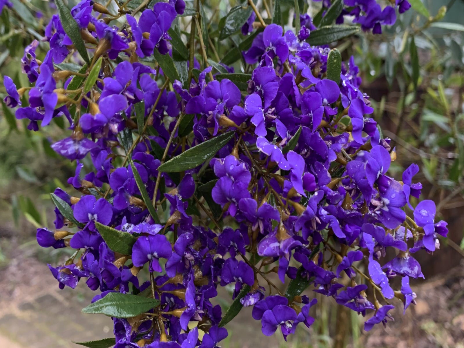 A60Ce275999E5F142Ba1927E2D4438A9