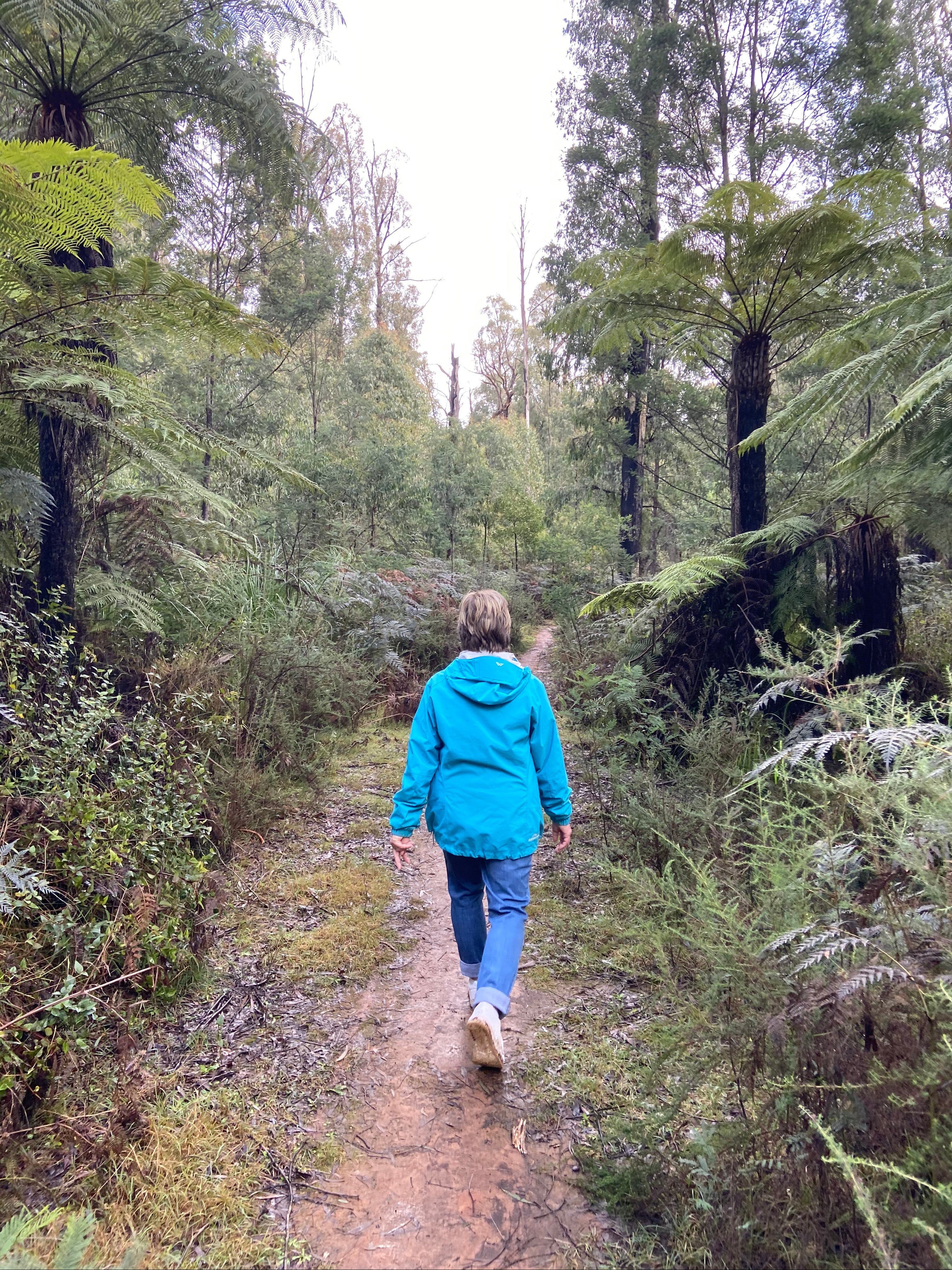 A6B23B75216F634A2D35969C83Fcff7D