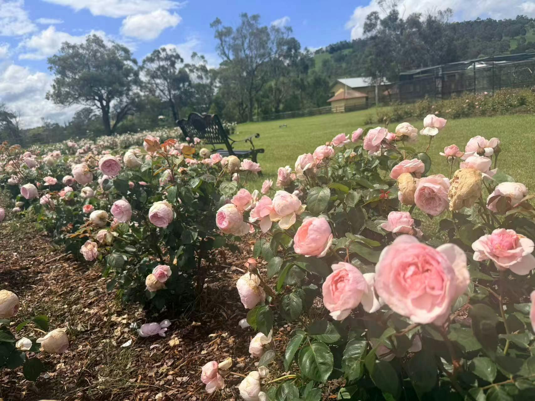 A6Bbac8C3B619Dd3Af91Bea19A5C3853