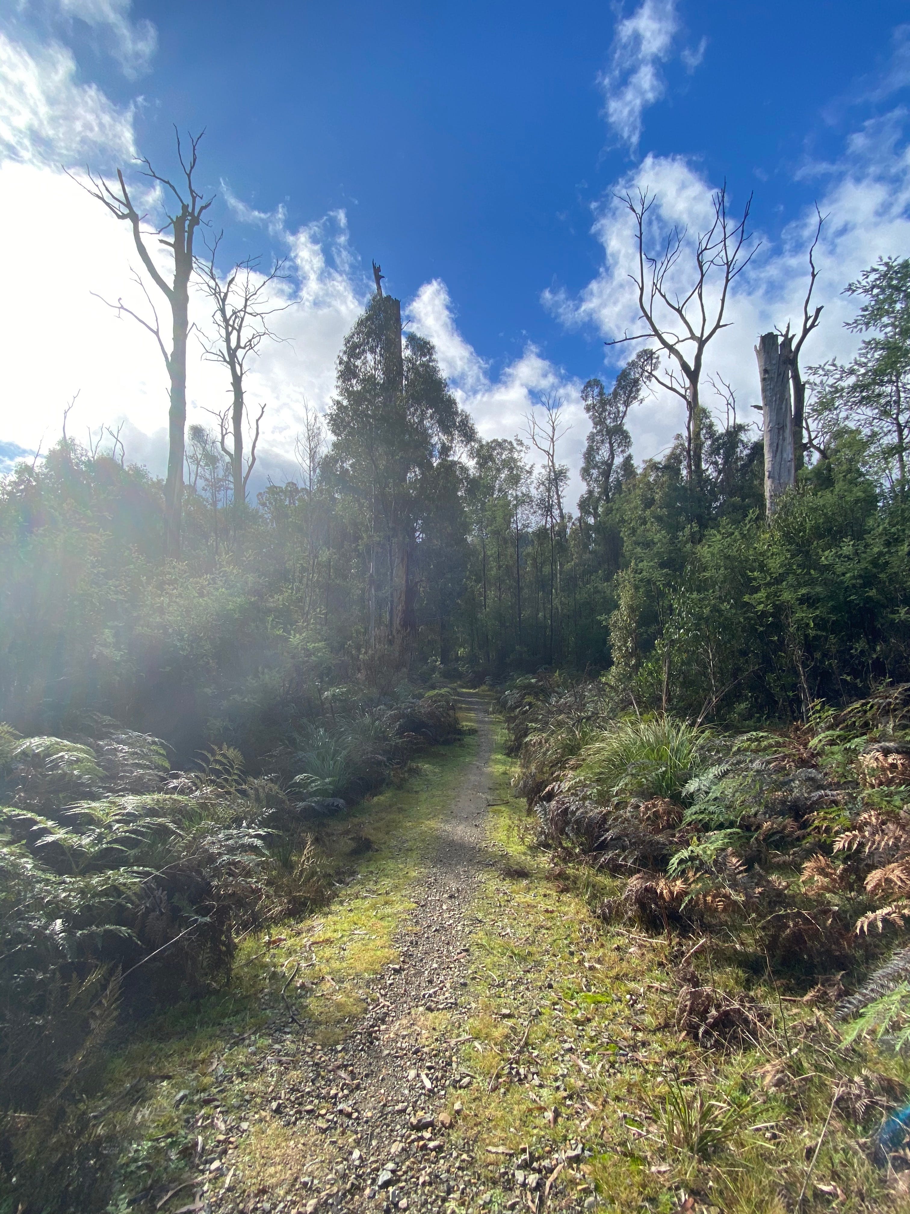 A9D5B55E35C951Df2441A8B6Aa4600D9