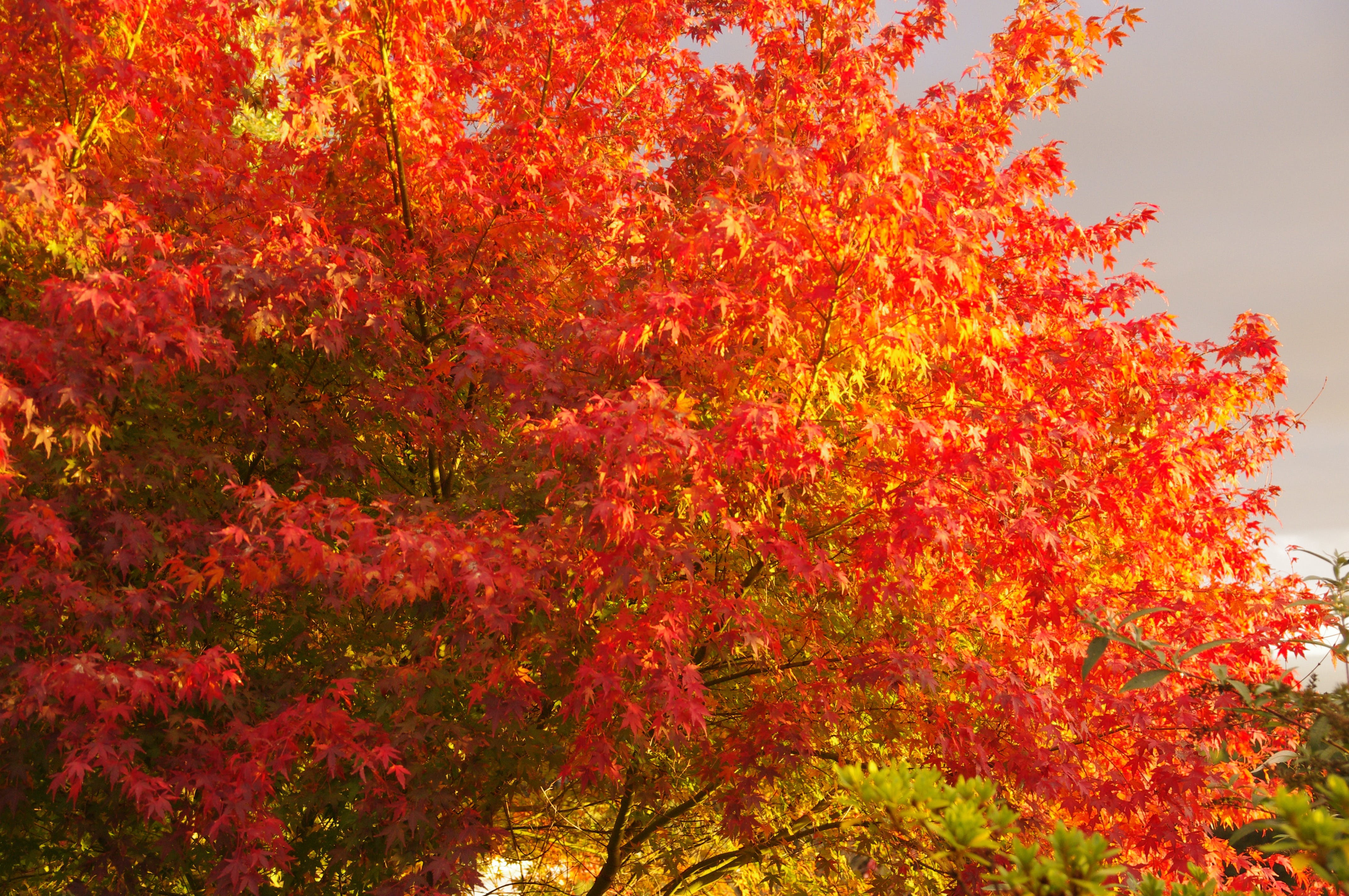 A9Dcf05E97D0C37451D23A9B506894A3