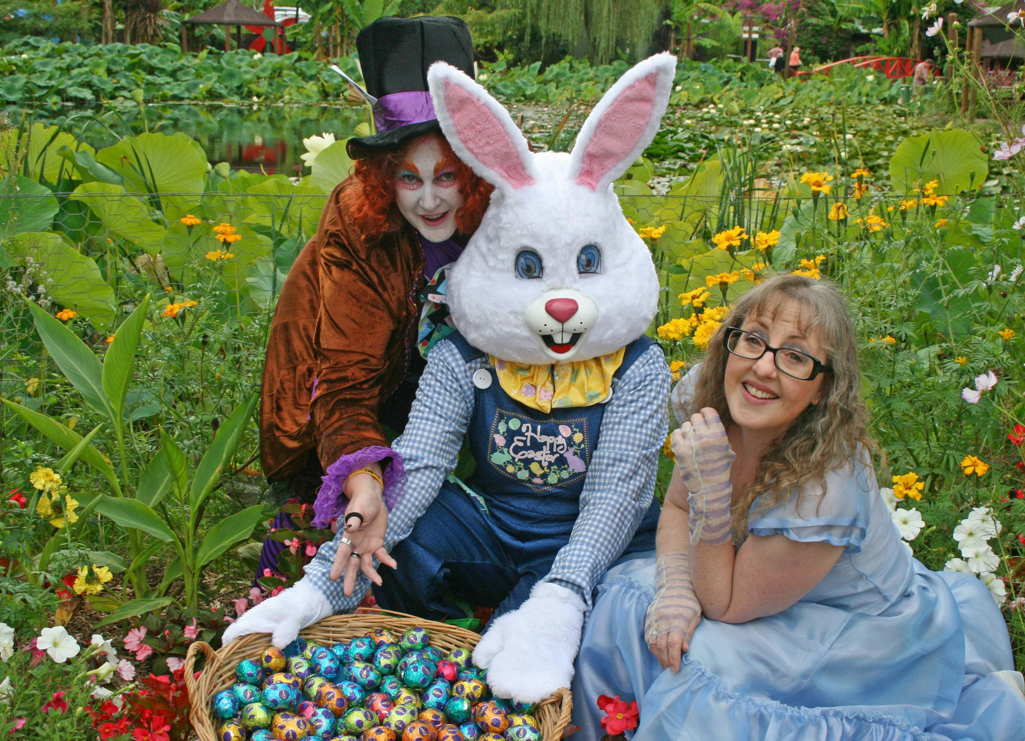 Aa5E04F71Ba7004Ef1764Cabf98Efb22