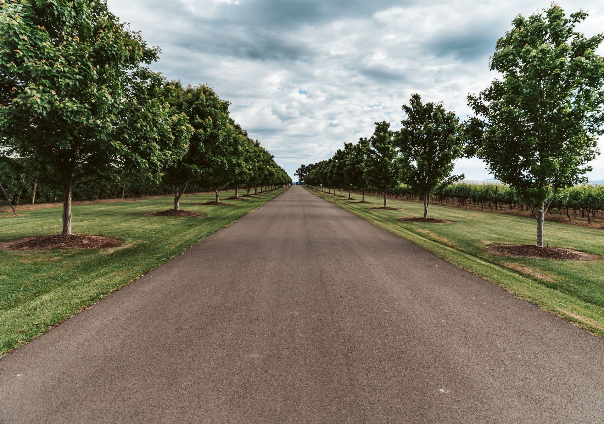 Aa6A2923Dda31F75254A7E85C93D403F