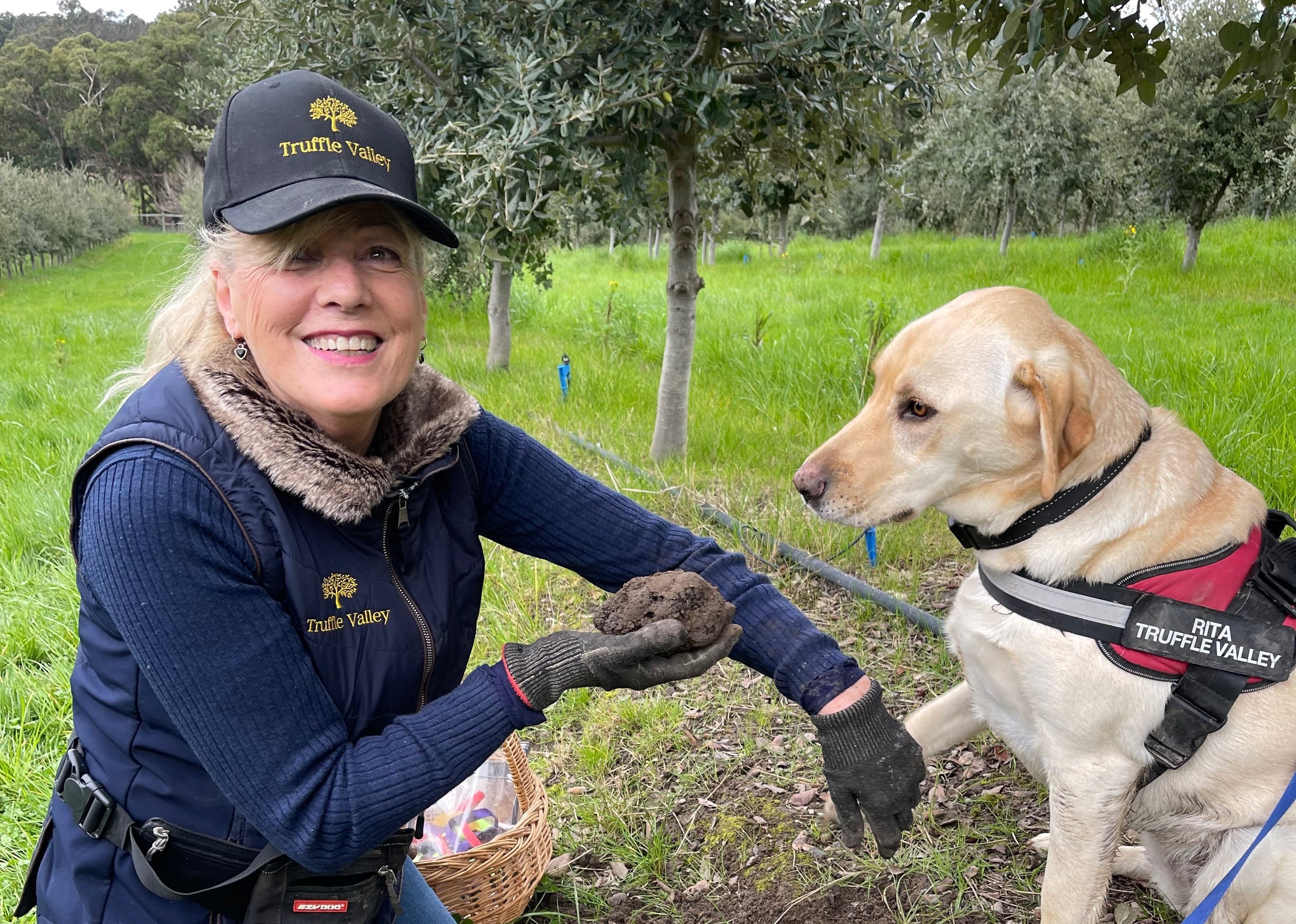 Ab6ede3a20aa9d6fd7ca505ce19b1873