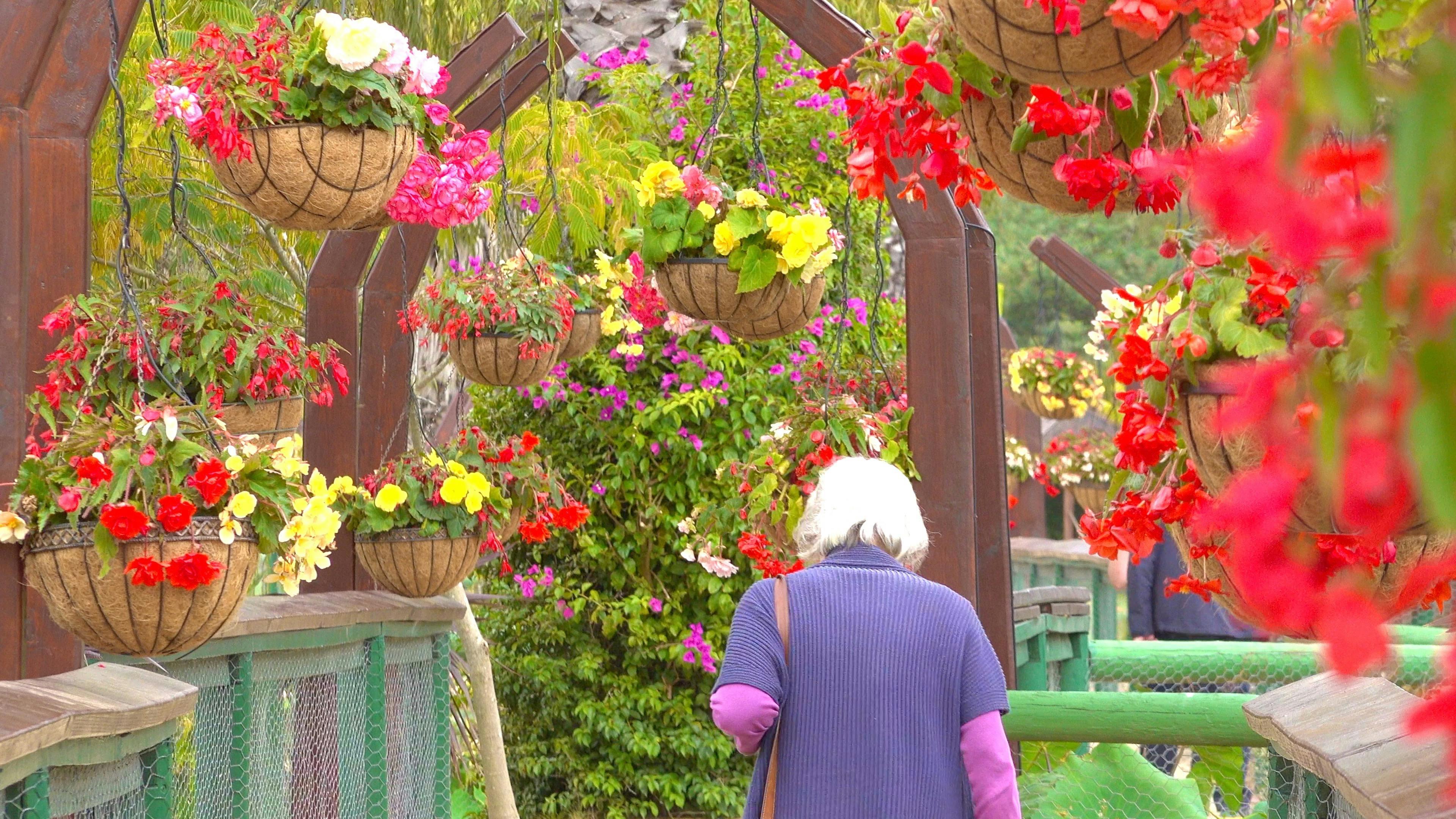 Abced88082D4A6D3Aea074B45Bf6Bdfb