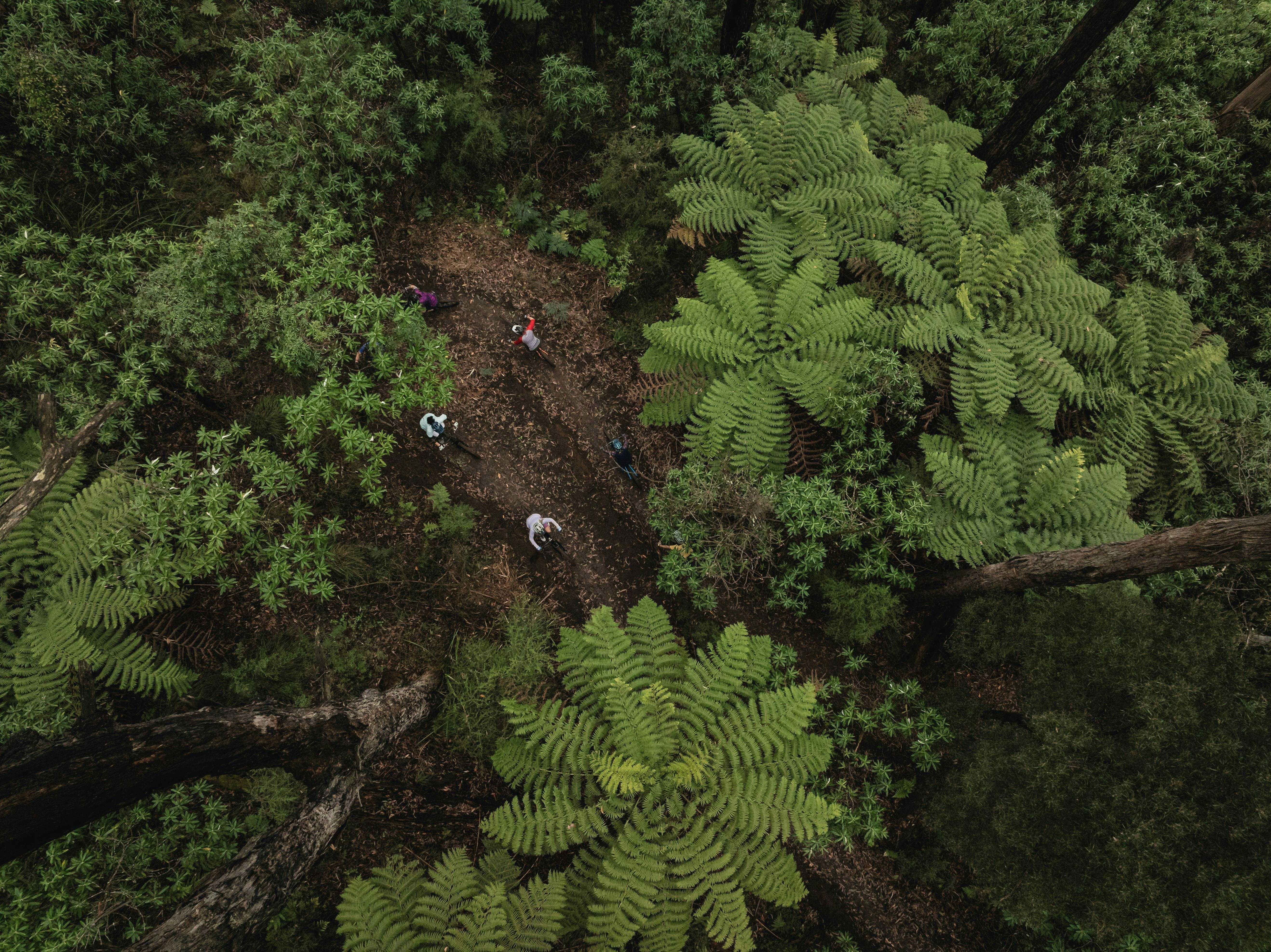 Acc4232Ecfe10Fe89C7Efde205A66C0D