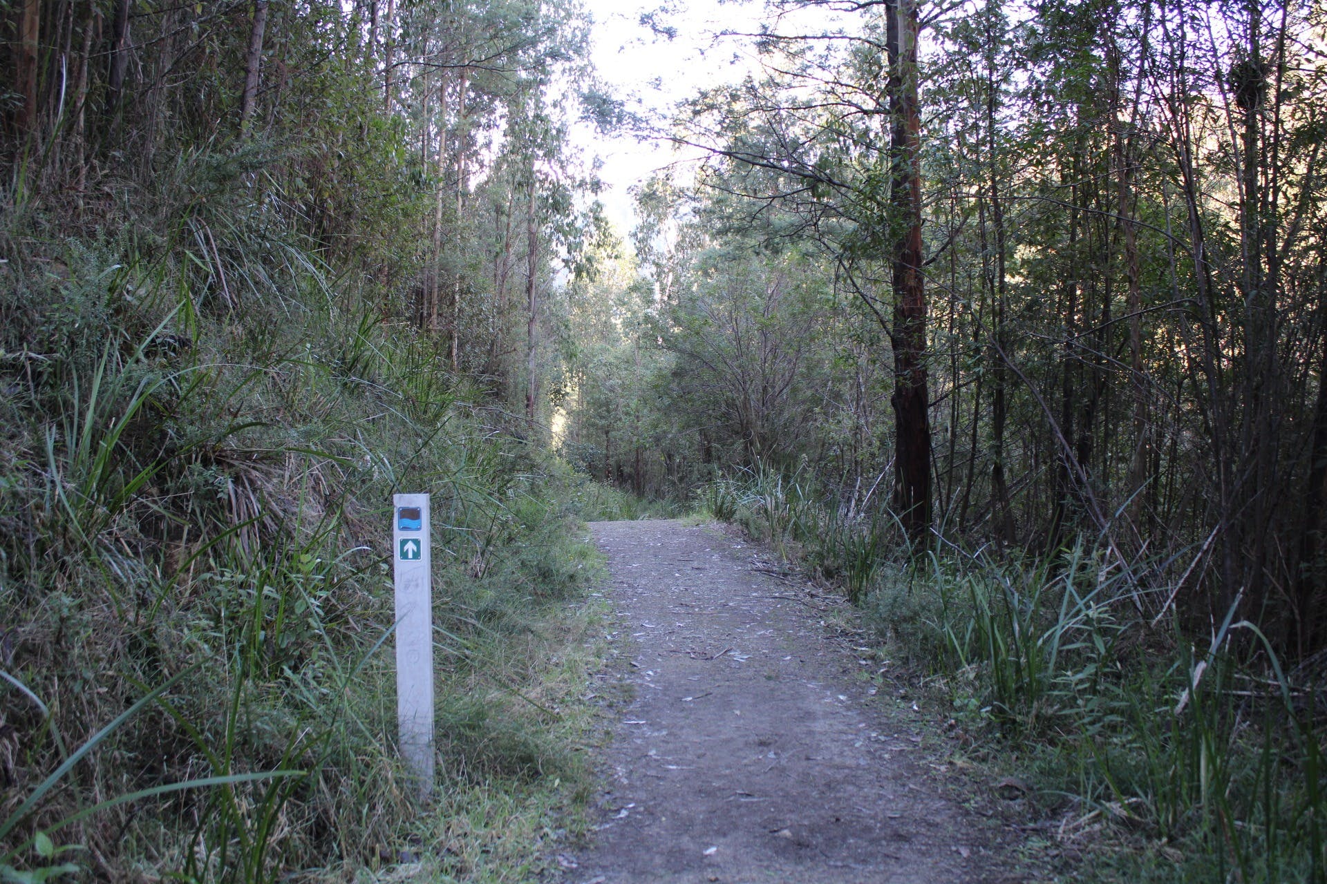 Ad9A9E9F329Ceb2Efc45B4Ea968449D1