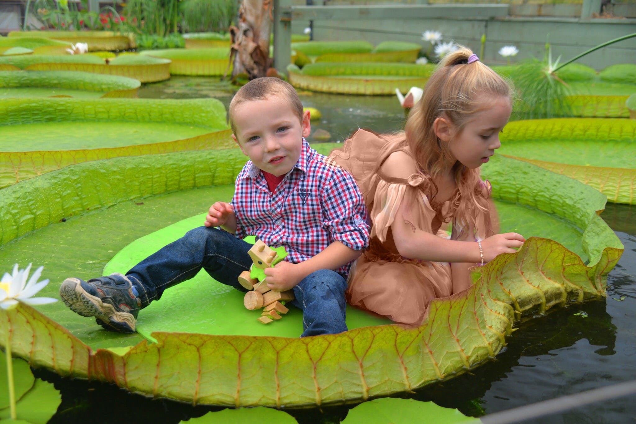 Adadb67A8Afdca1B08957F74752E4269