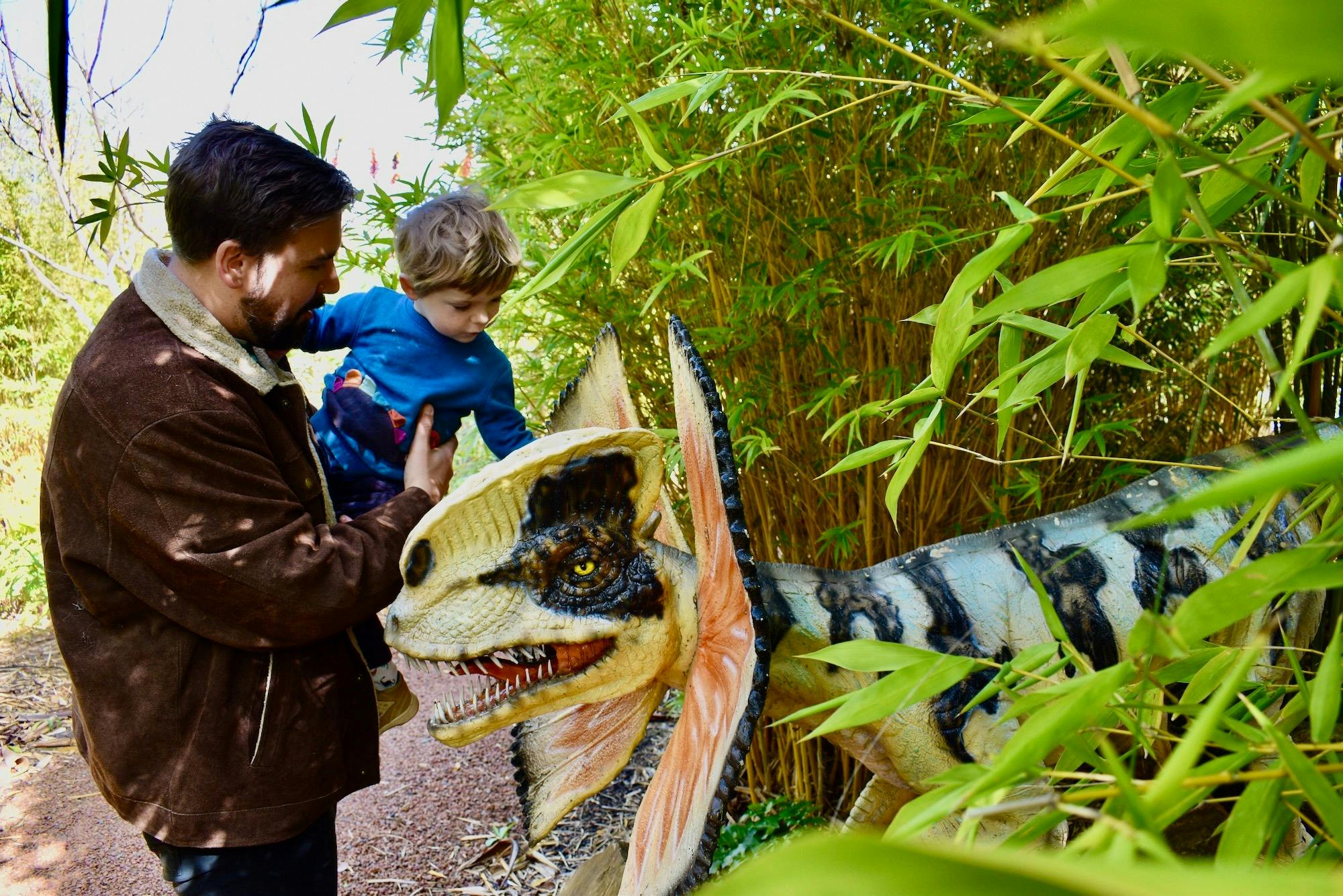 Ae6136129E15E668C2Dd384A82Ab01E8