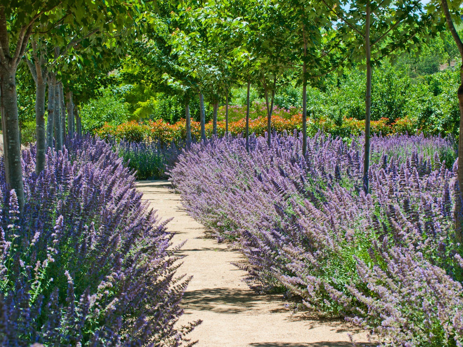 Ae989C5Ce36745B6C9Df1Ba00B0Fee60