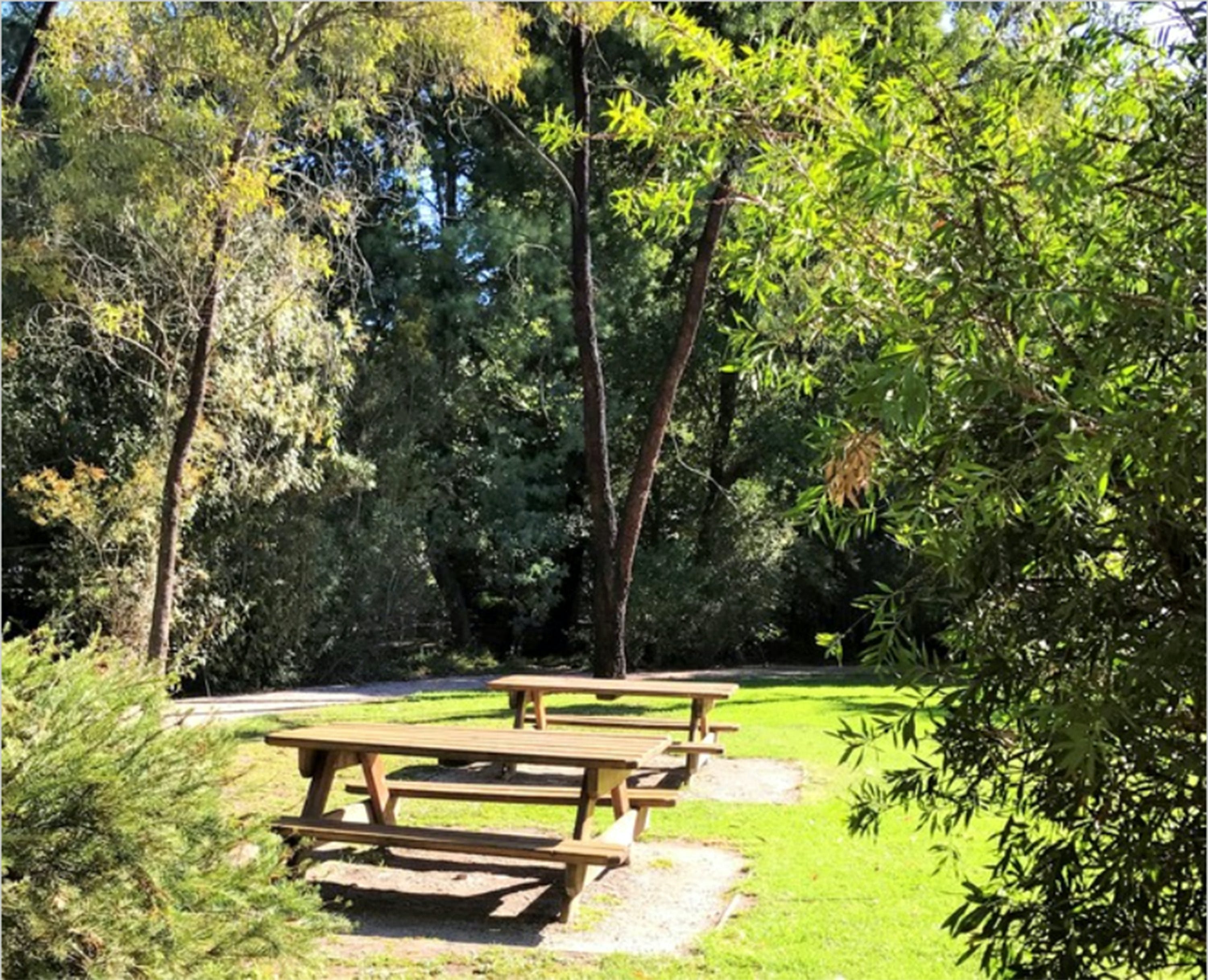 Af2549B1B6944E46C725066B7F0Af3C4