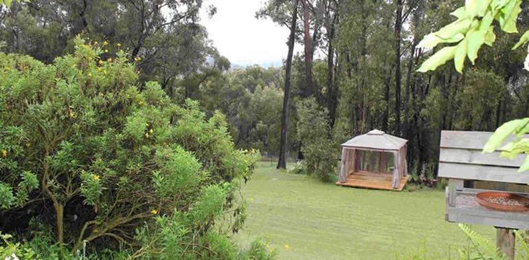 Alpaca ridge hero2 5