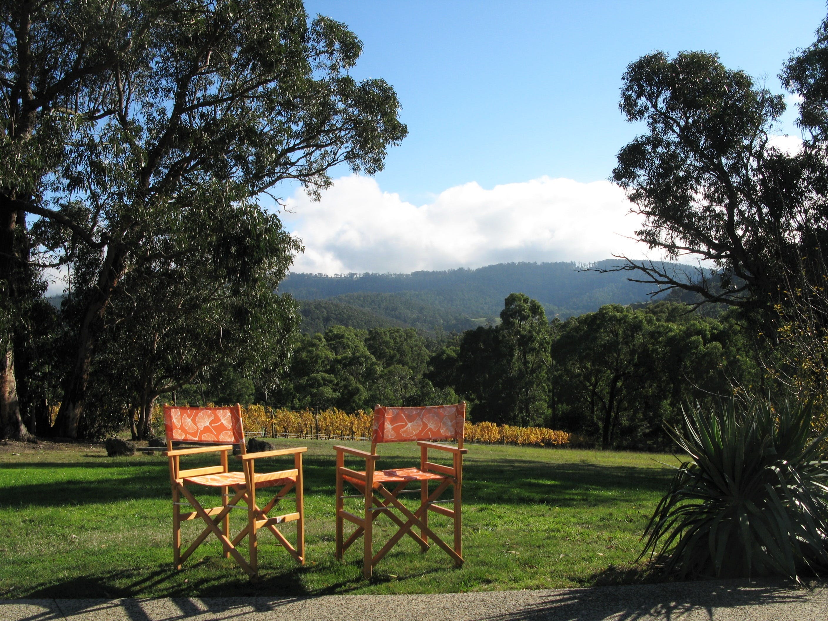 B027E7Eb8B52C22B04E0Ce3653A29Bb5_04Uocz9