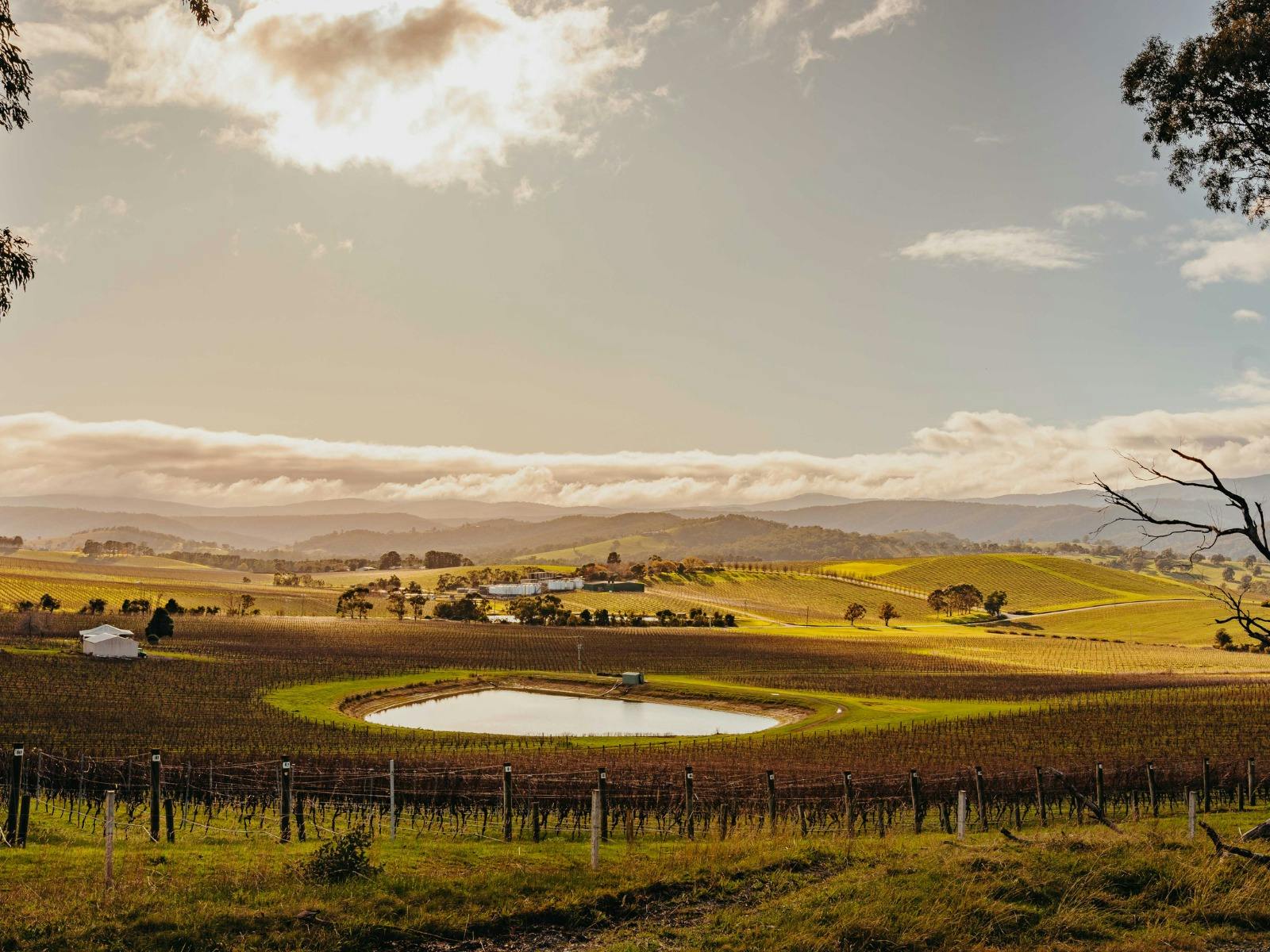 B08481981D50Fad73F3A6541Bd117Ac8