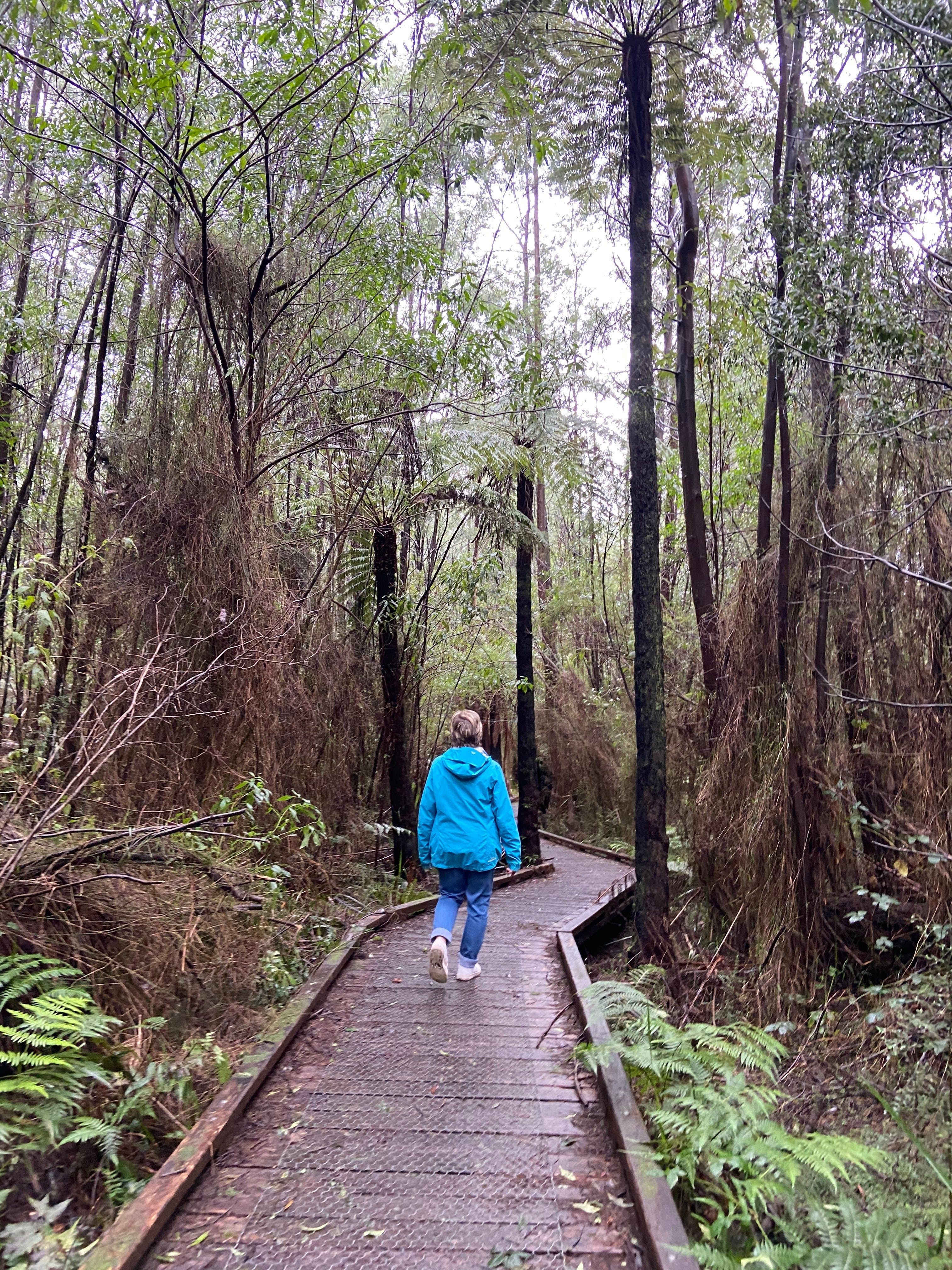 B12757808Bd024C349Bdfc2E8B4Bda99