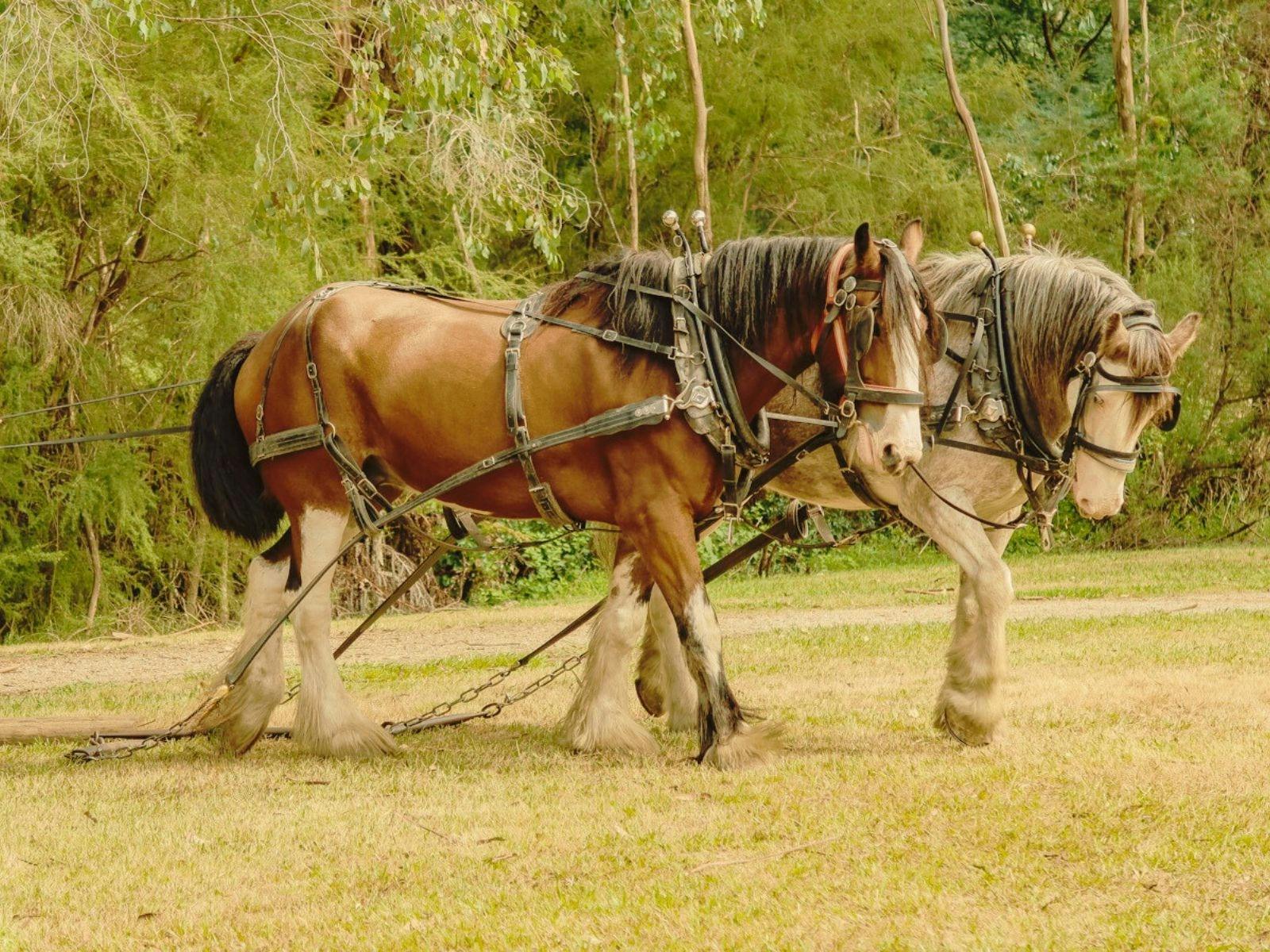 B194Fd17Ece9F884E8Bee6Aa5De43B64