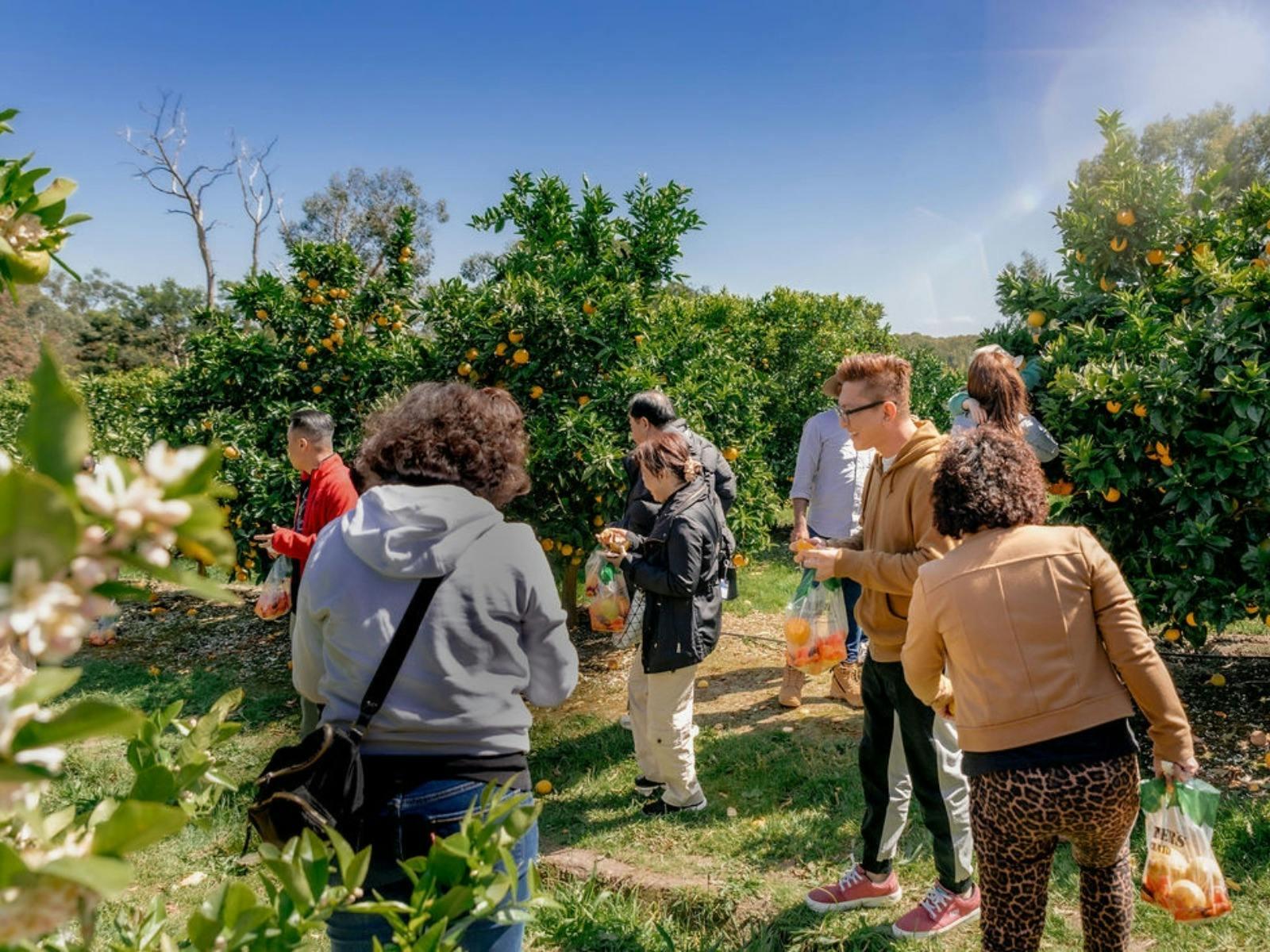 B2448B9A8B6826D52E28A9Bfbf6935Dd