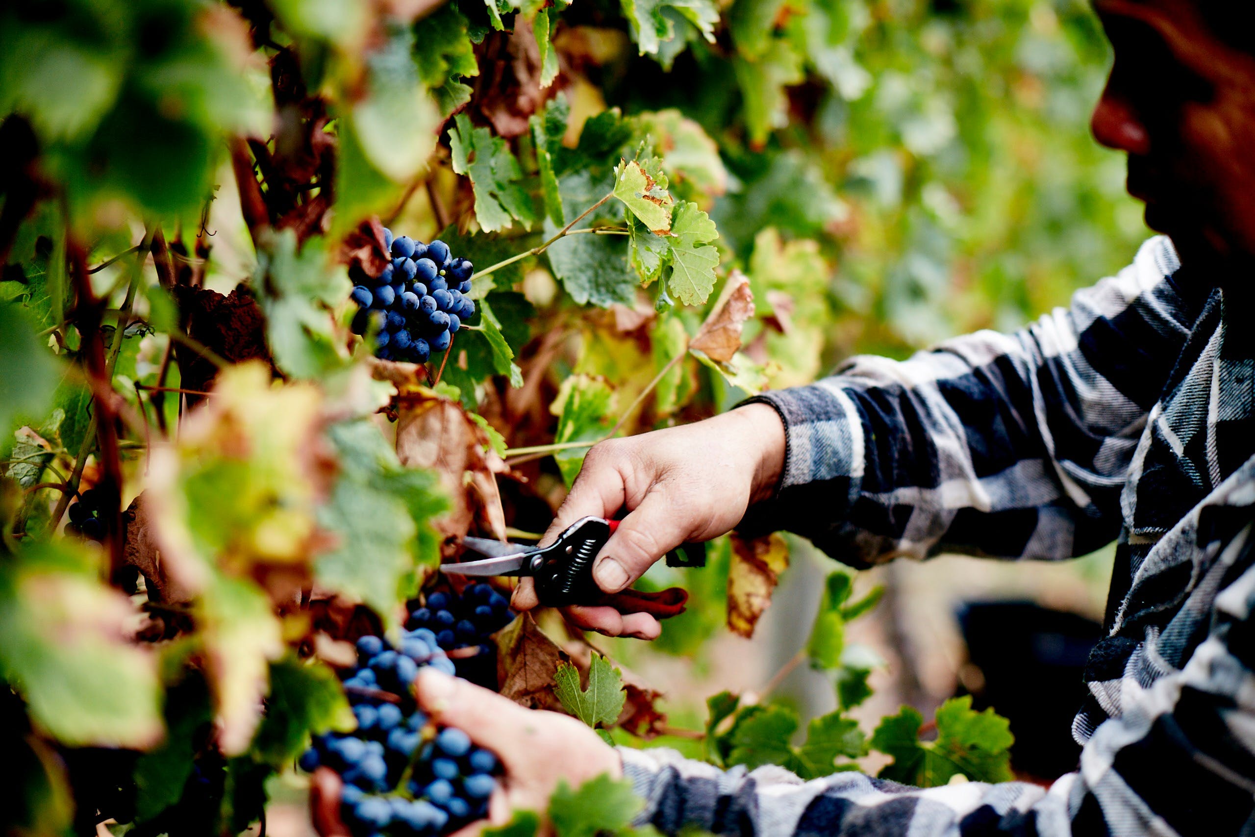 B2E414089C4Bda37Db0F4A11Fdd0B443