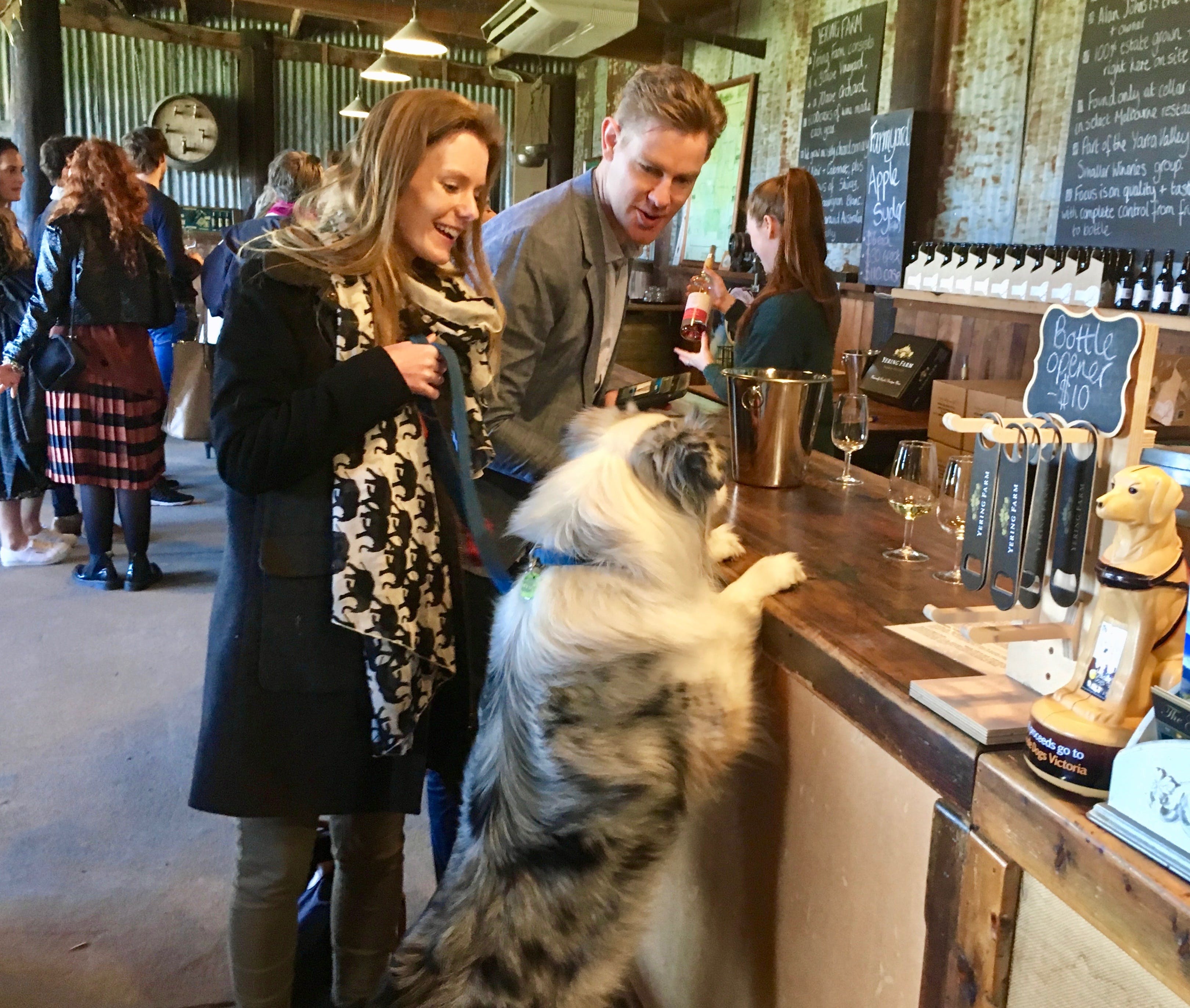 B3A27A47C7E132F9B706523Ccc2C1Fa0