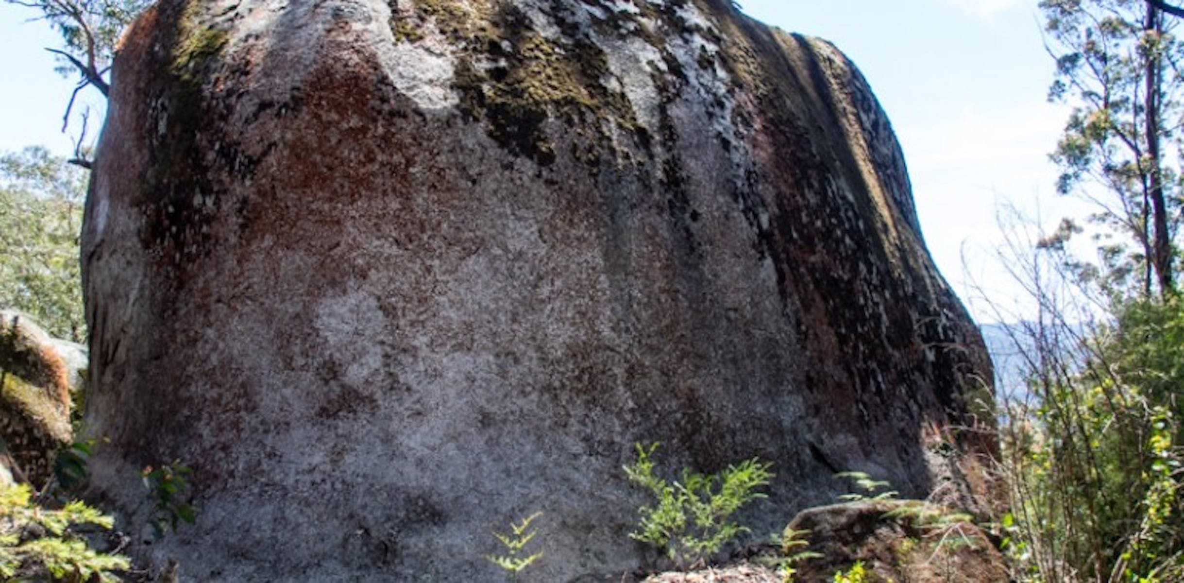 B3Bf347A86Fcbb5F0Ce8621148837D11