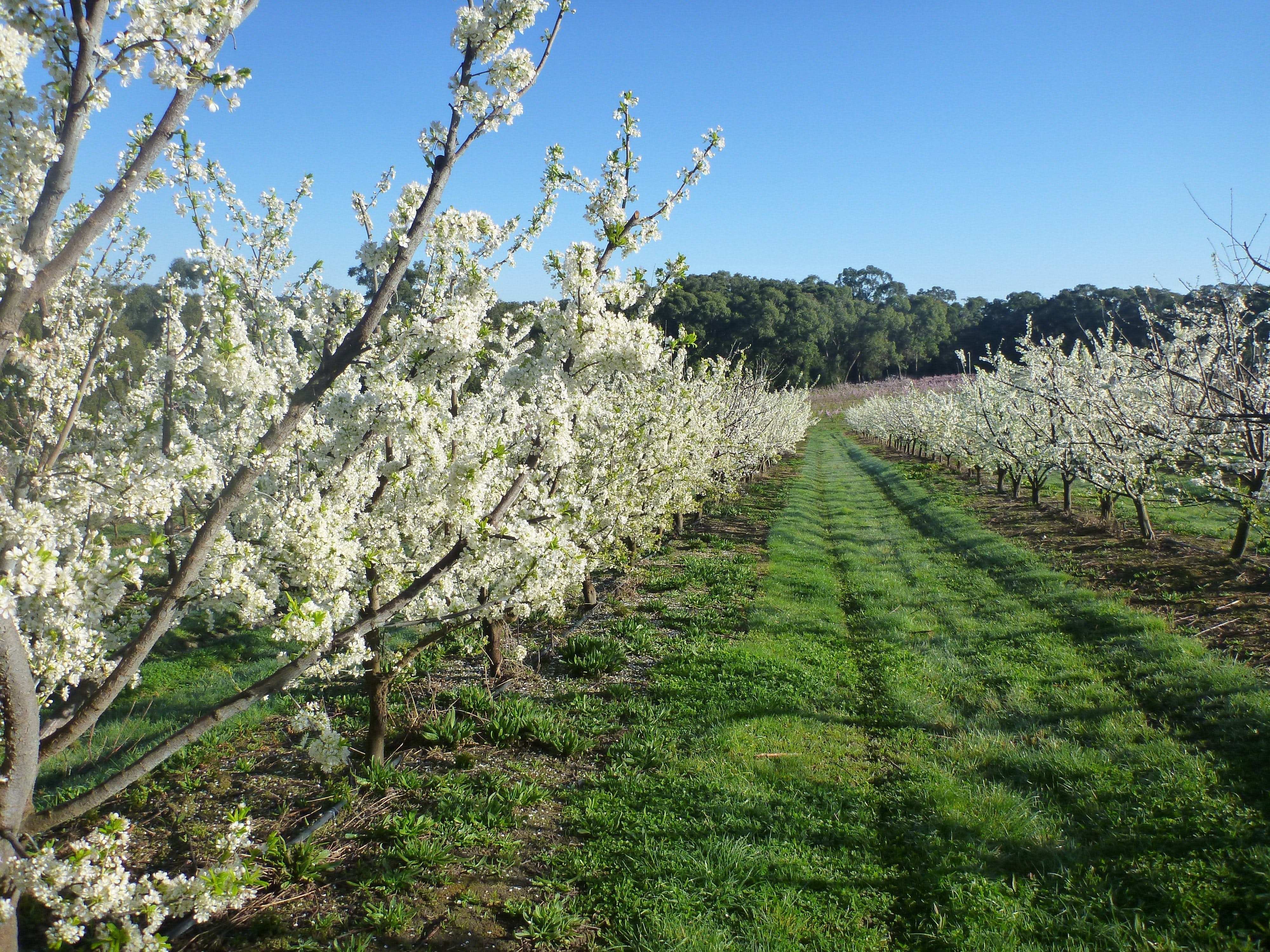 B412Ccb506A08448B7E70788Dcf7308B