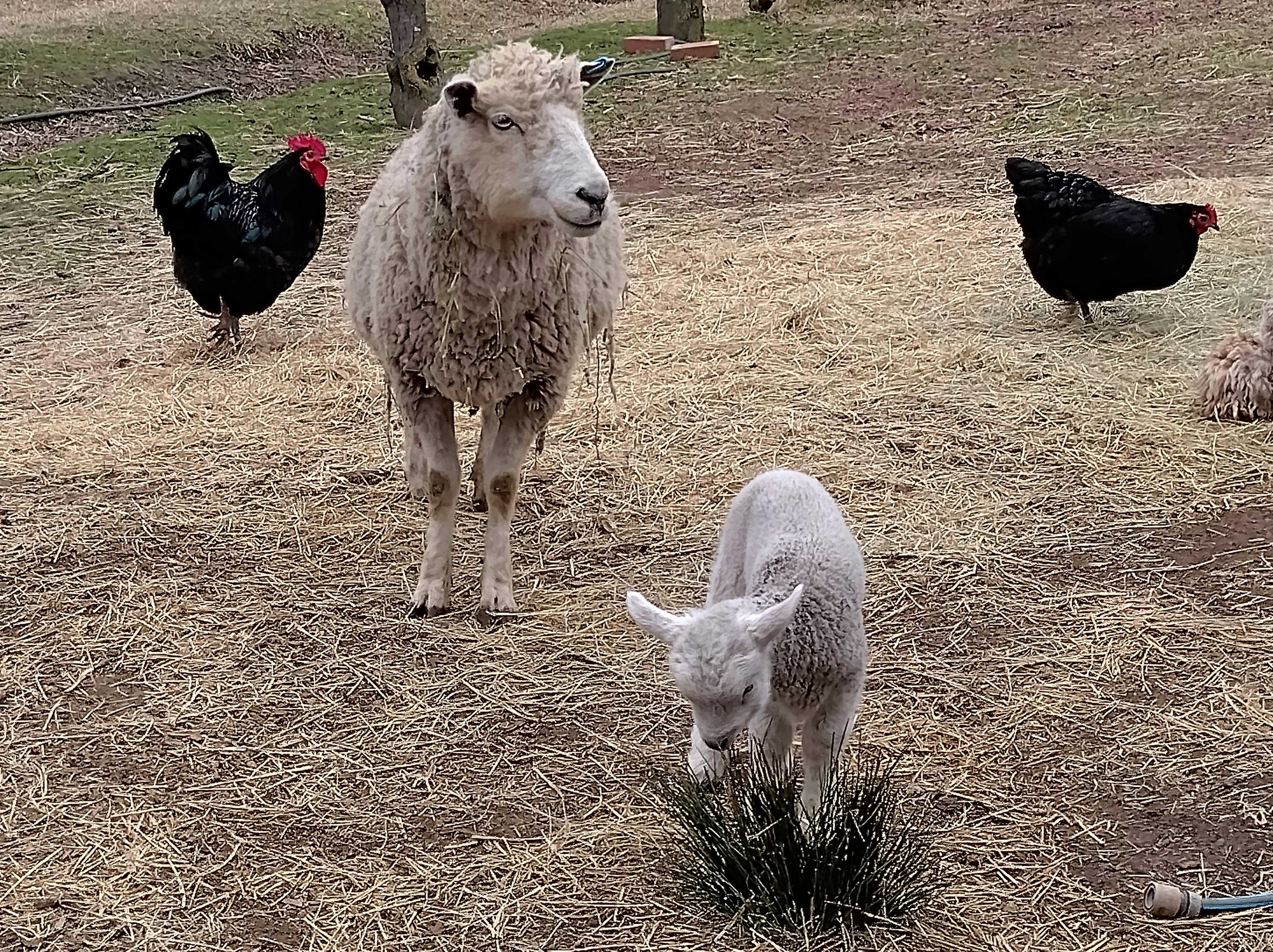 B5C6Bdd871A823E13F4Ef0Bf3D20A011