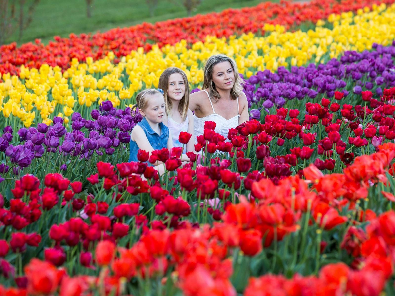 B79B6Eef5A42B5512F8Bd4Df8Ffa9Aff