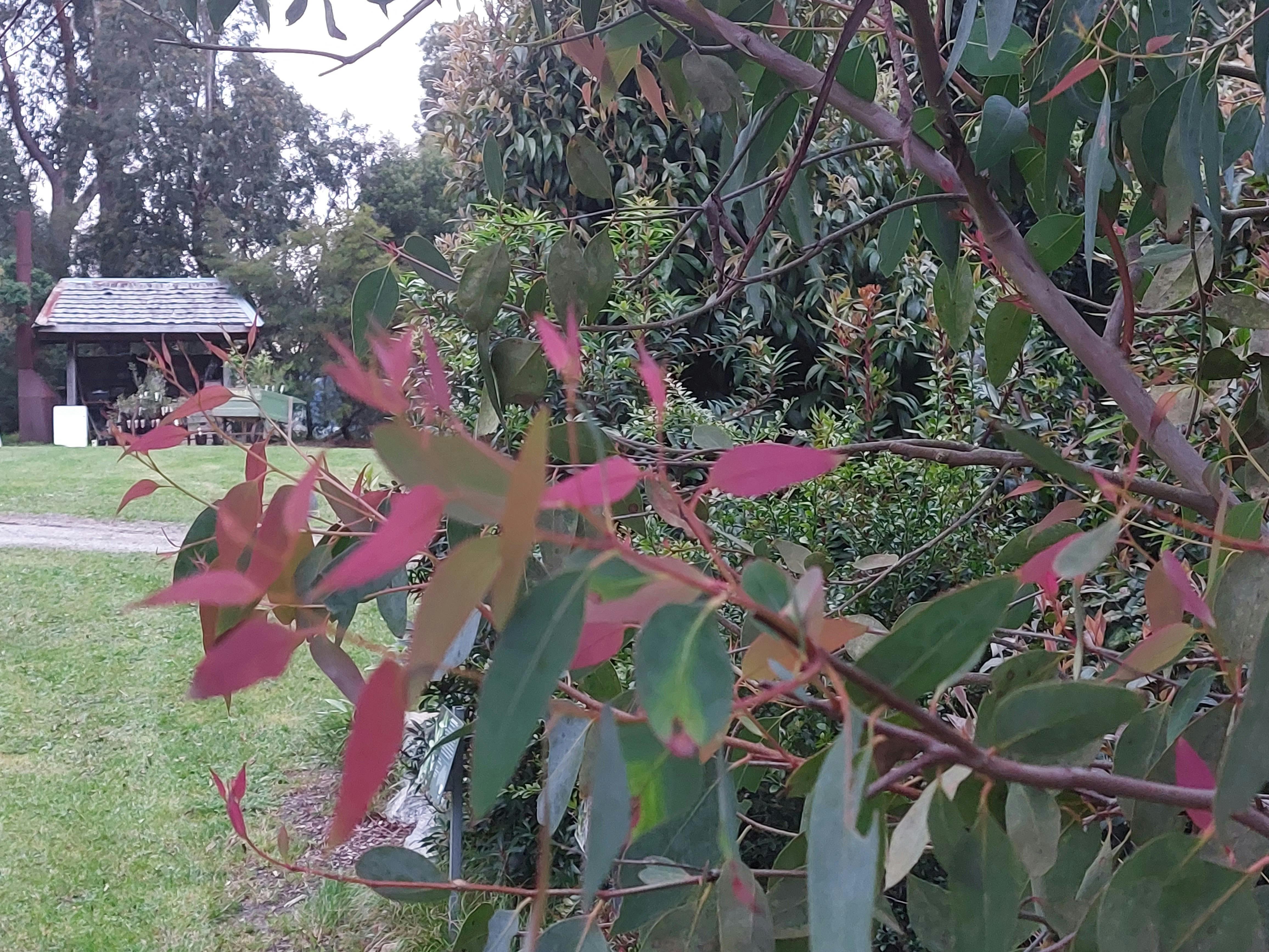 B7C2601794Dfe8Ca94Fc505A21C364D0