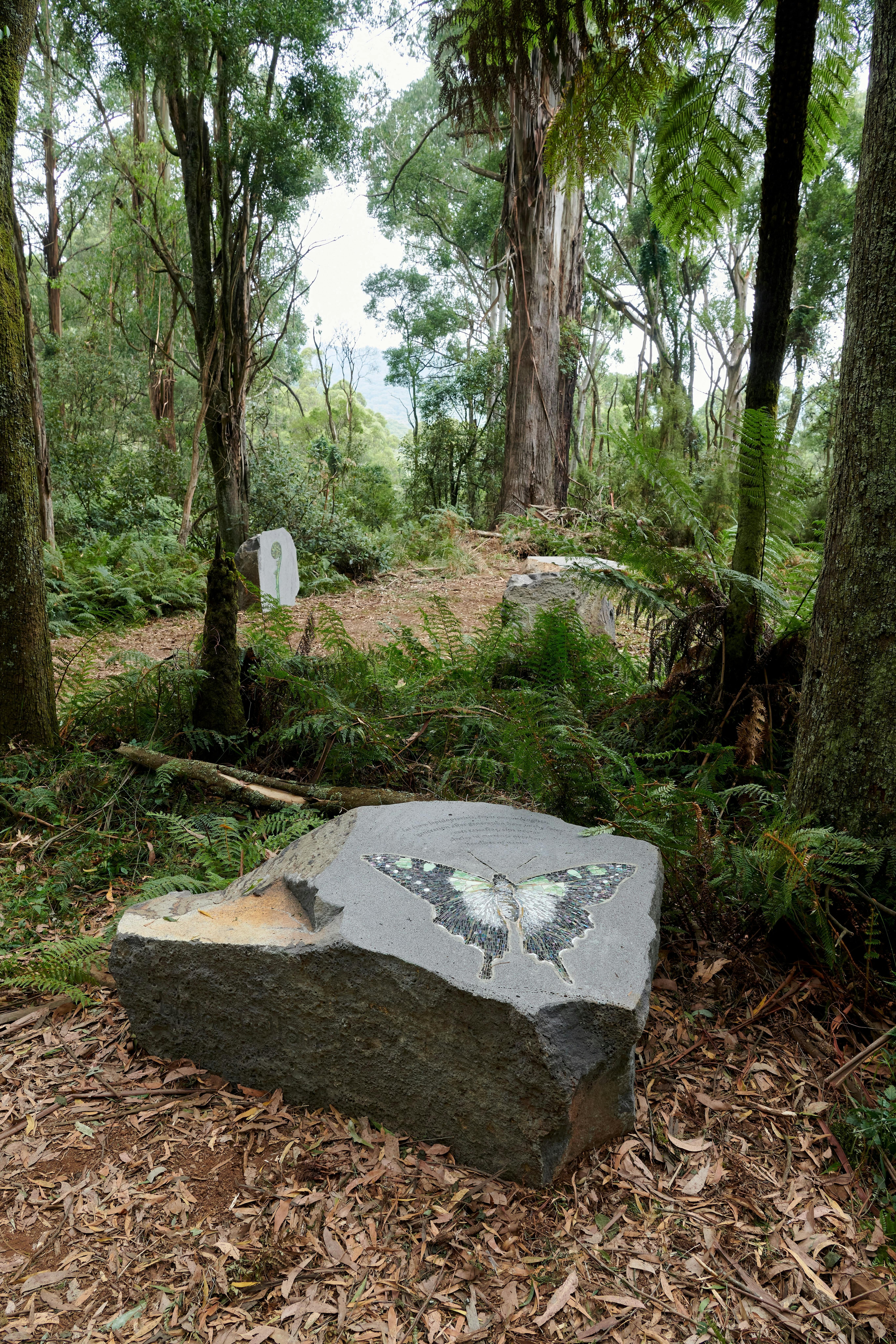 B843Aeffd198736A6A5C35Ea02Ef2874