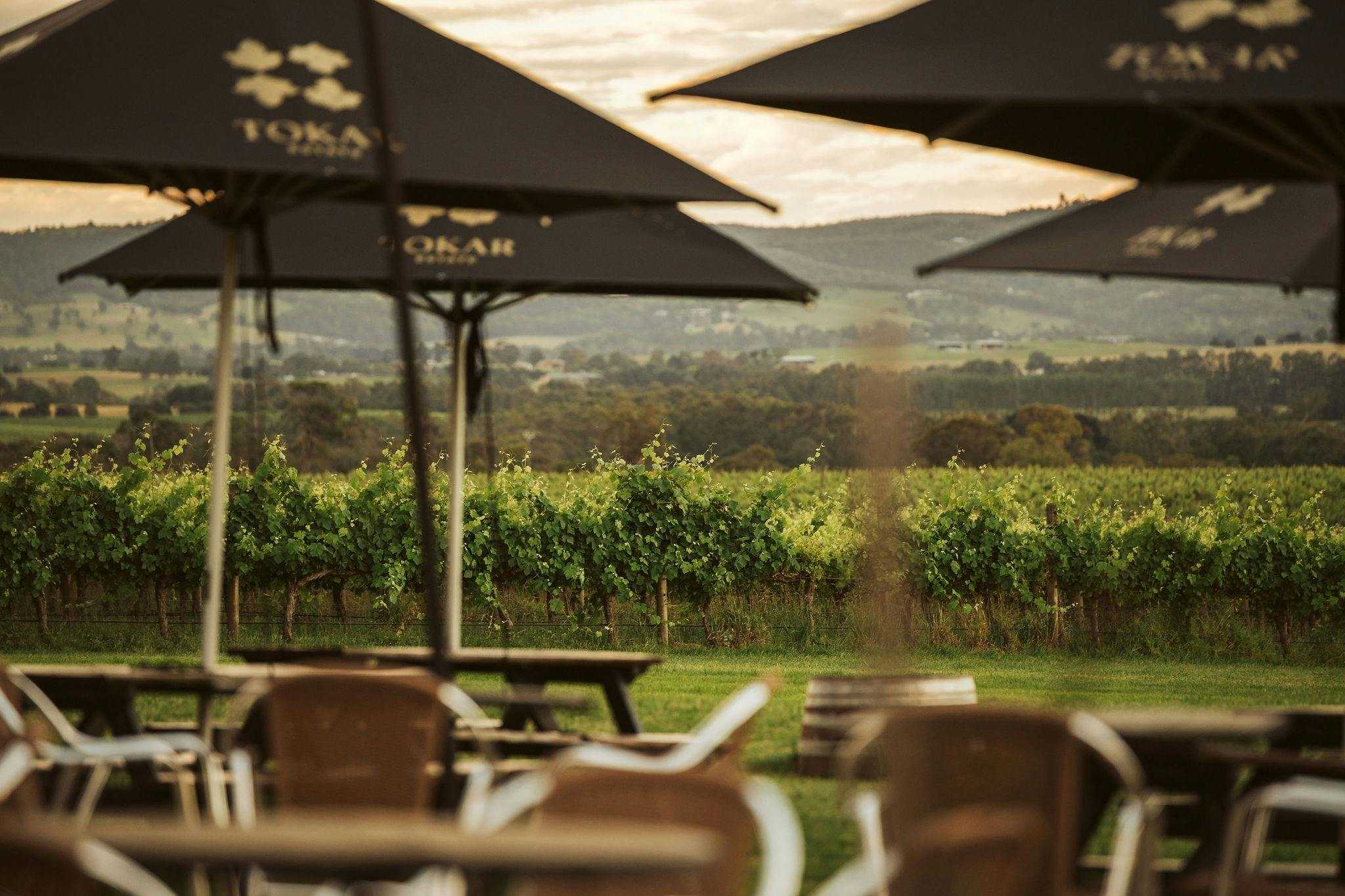 B8A65A9390C55127471Ce9C22De0370A