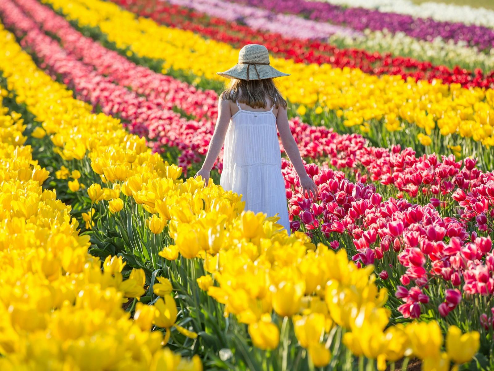 Baa05Ead1B4490Ffd376A30D9C15A29B