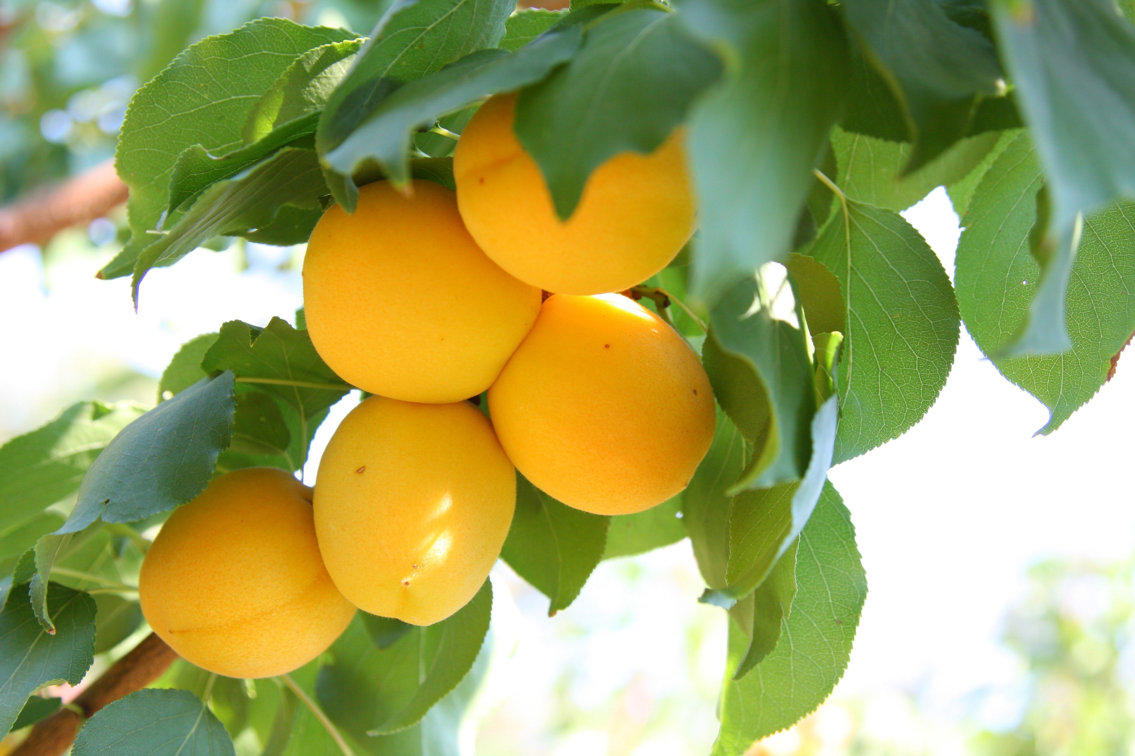 Bb5009Ee71Adbc0Fd20522Ae0283426F