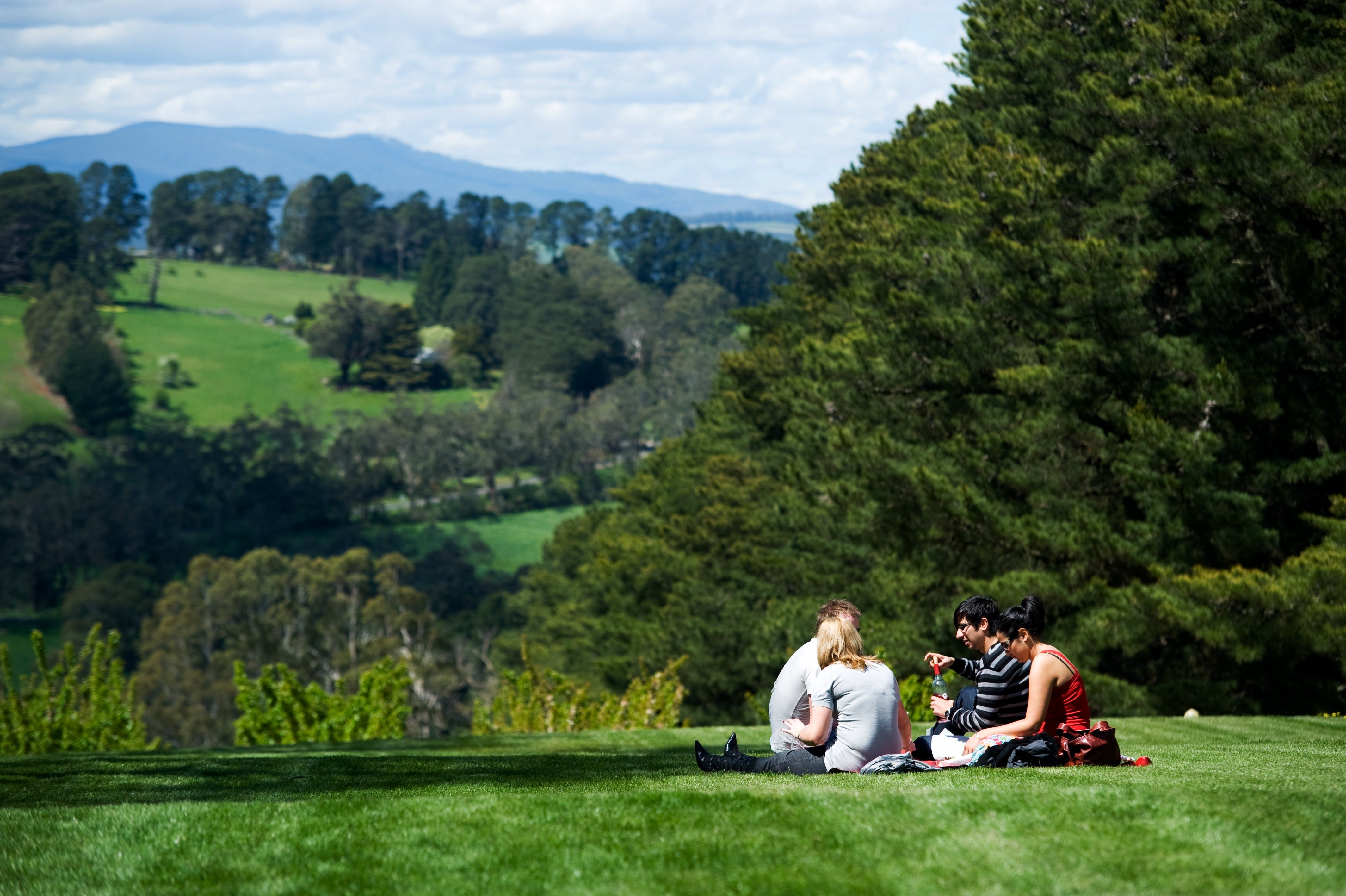 Bdc24Edc3E29E619Da9F554Cfb39Fa0E