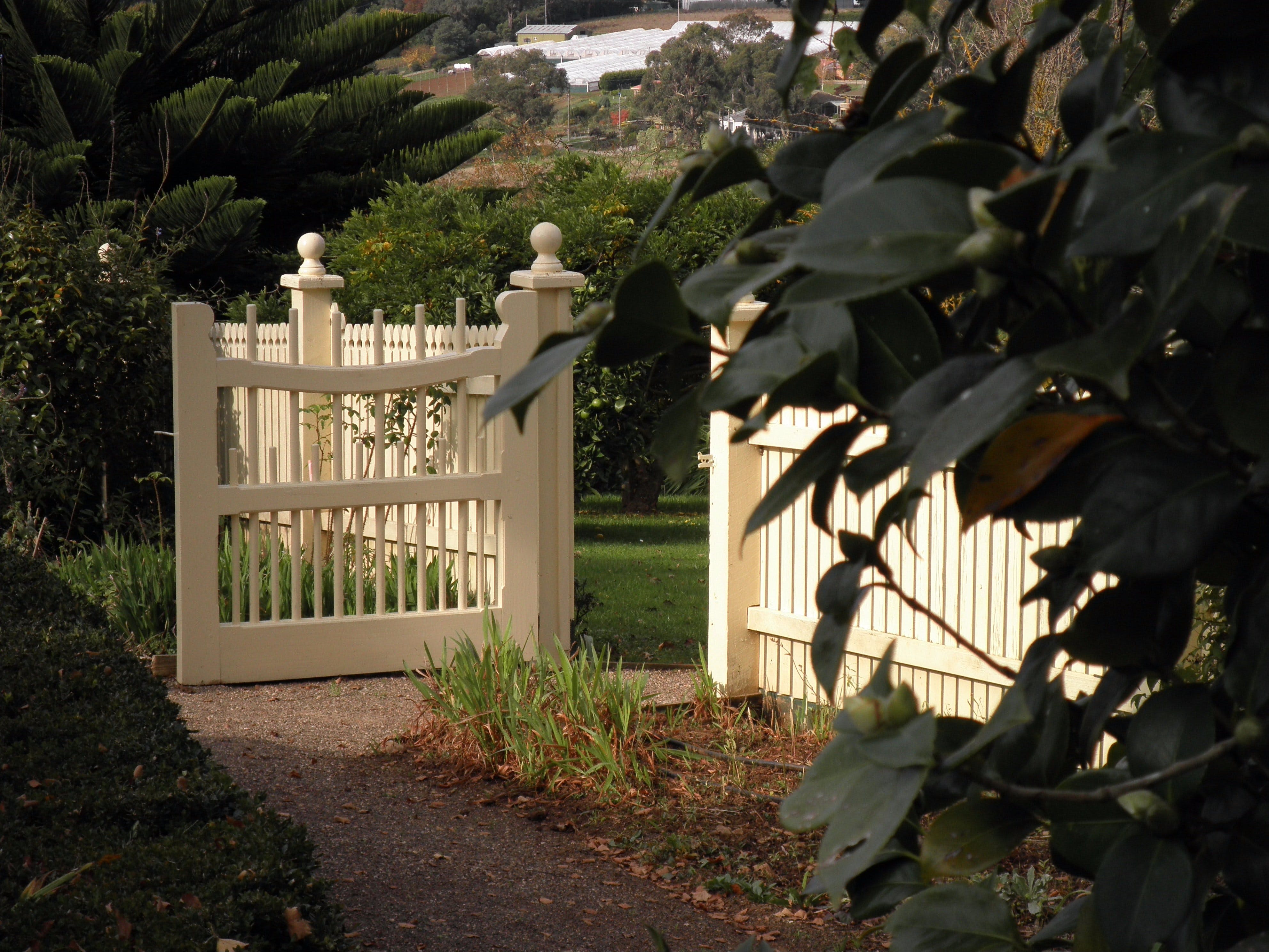 C067Ffd4Ecd3A3A5F968F6F828444F90