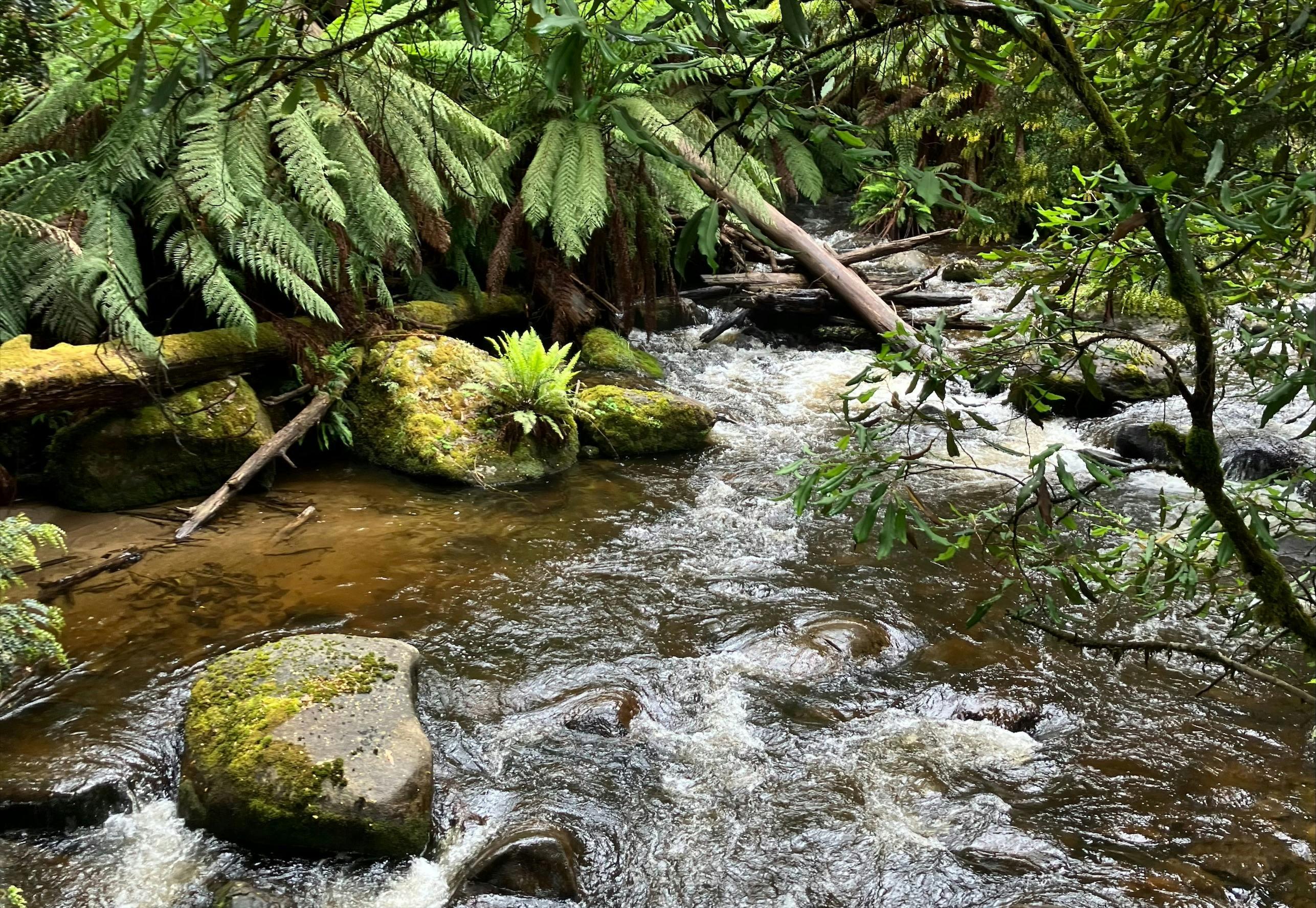 C17E17Acbcaae84Caca26Cb663677Ed8