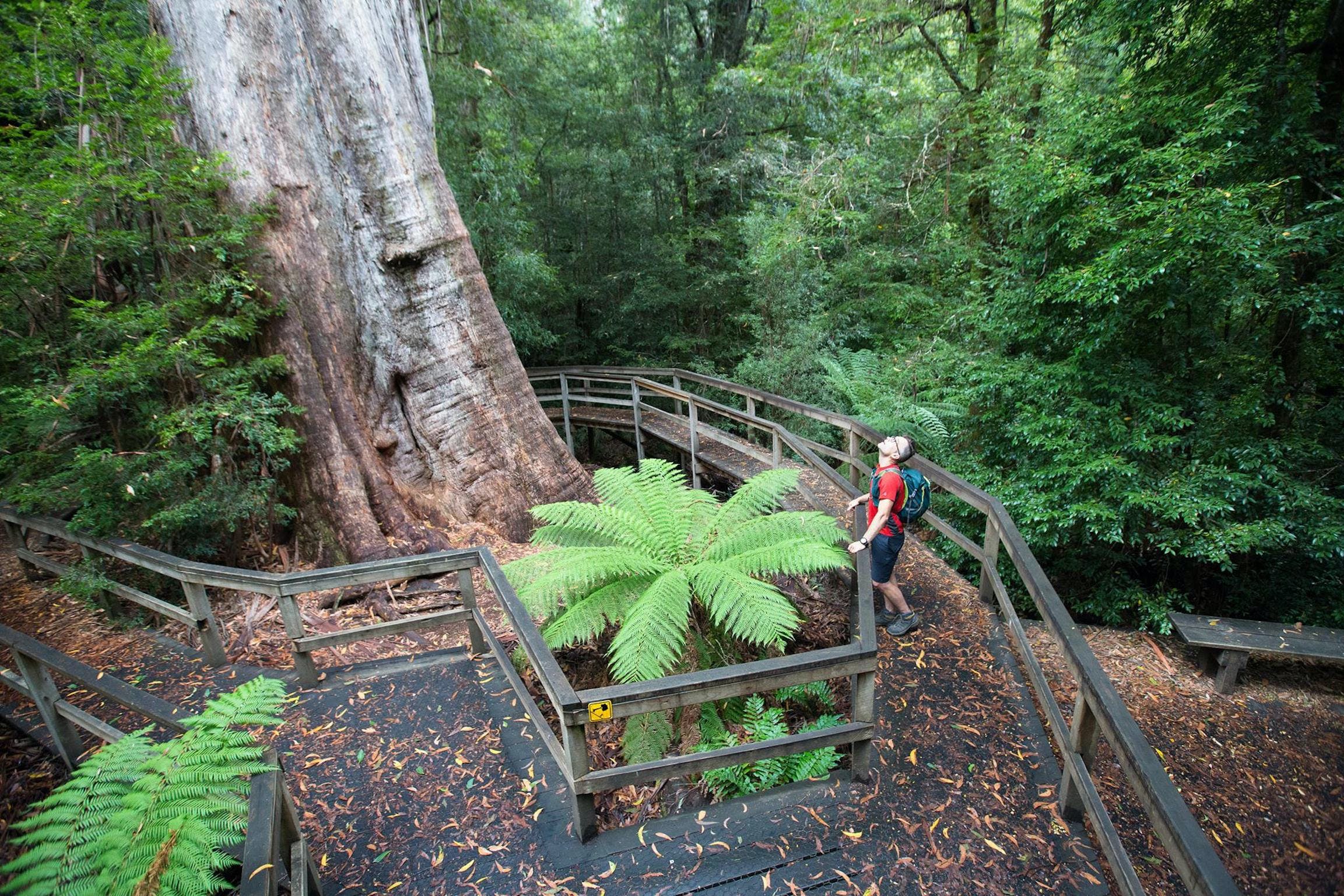 C1Cb5157Da342Fb1Afc9Add8017389Df