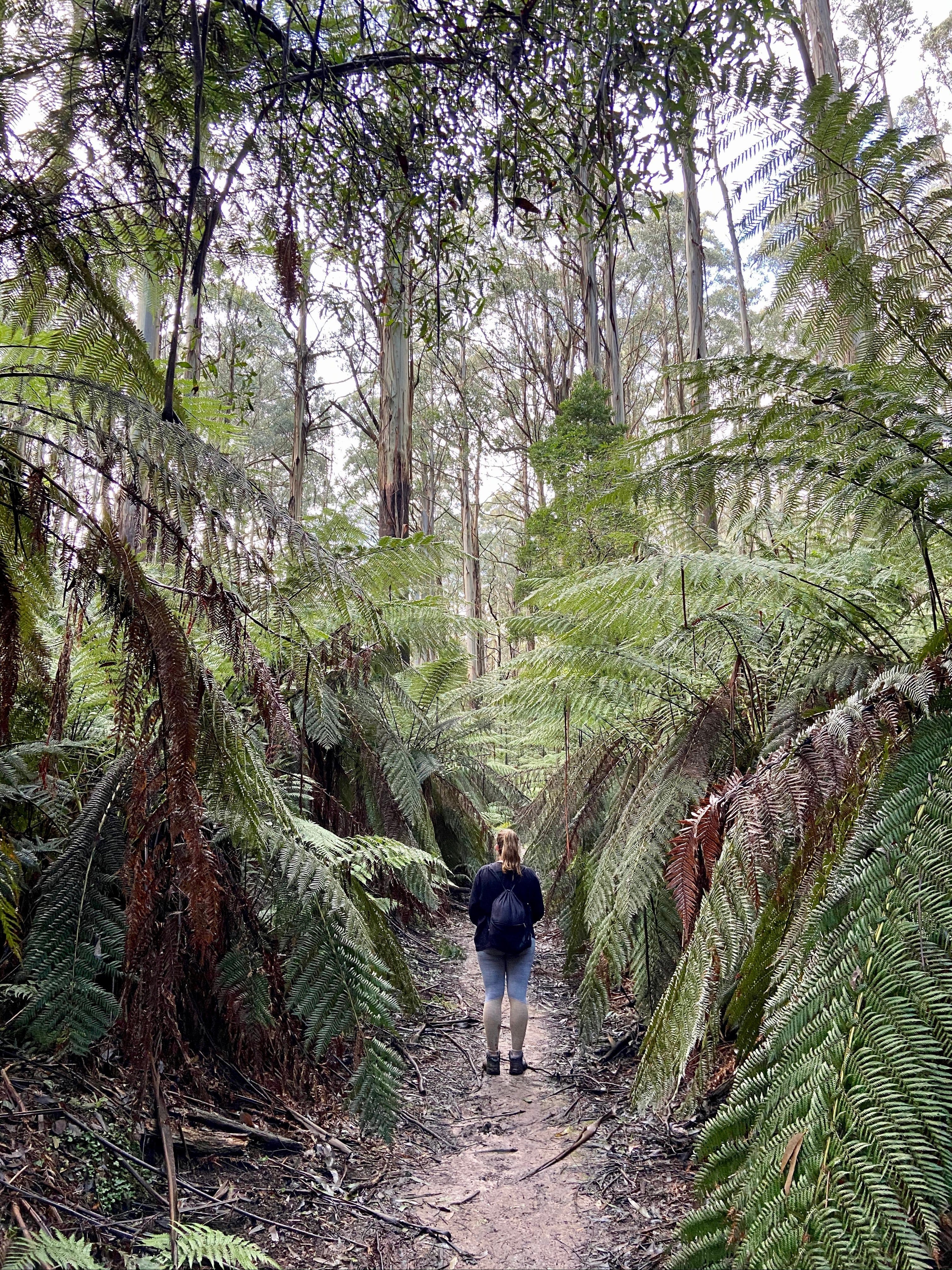 C2A789A986F8Fac14B8F32B3817Aa701