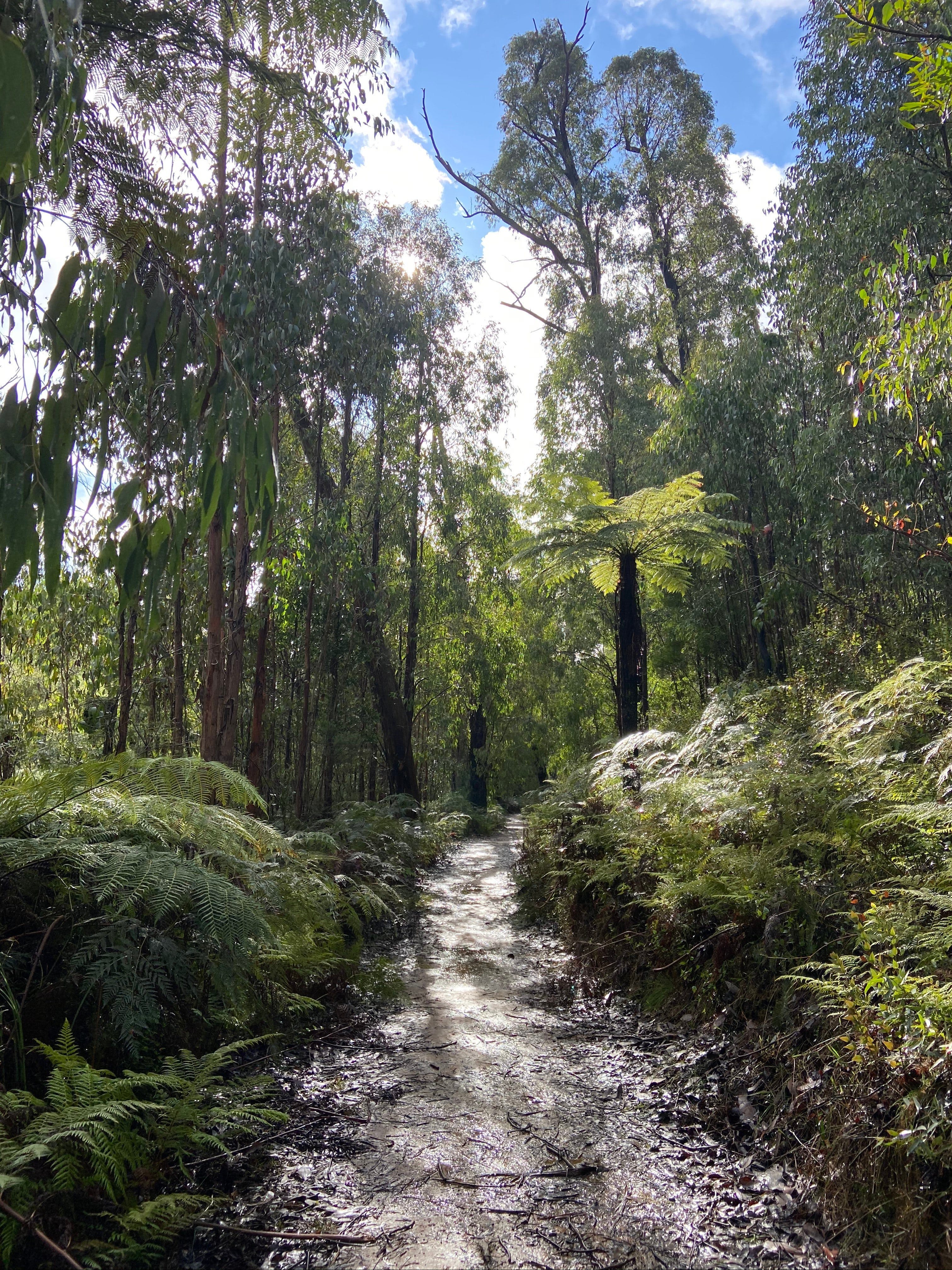 C3054Eab34B113Da01997Bd9Eb40B170