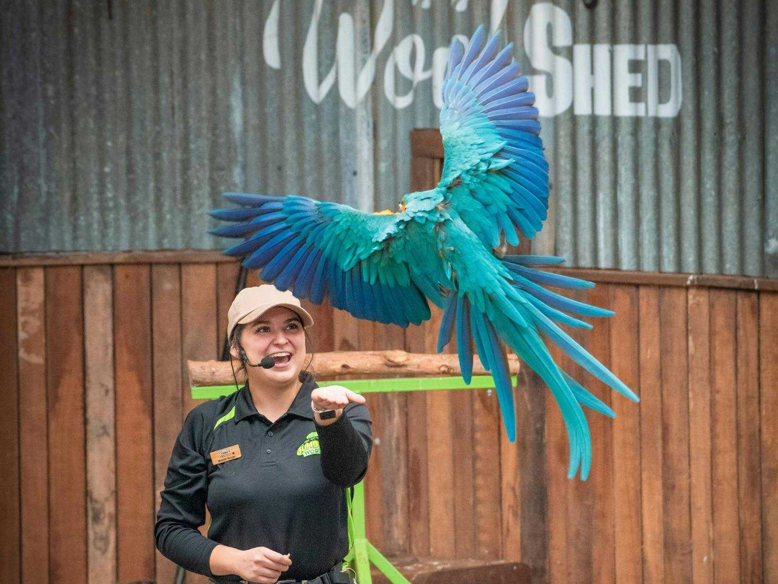 C4D4Bfdcf2D4390268F376Fe7F385372